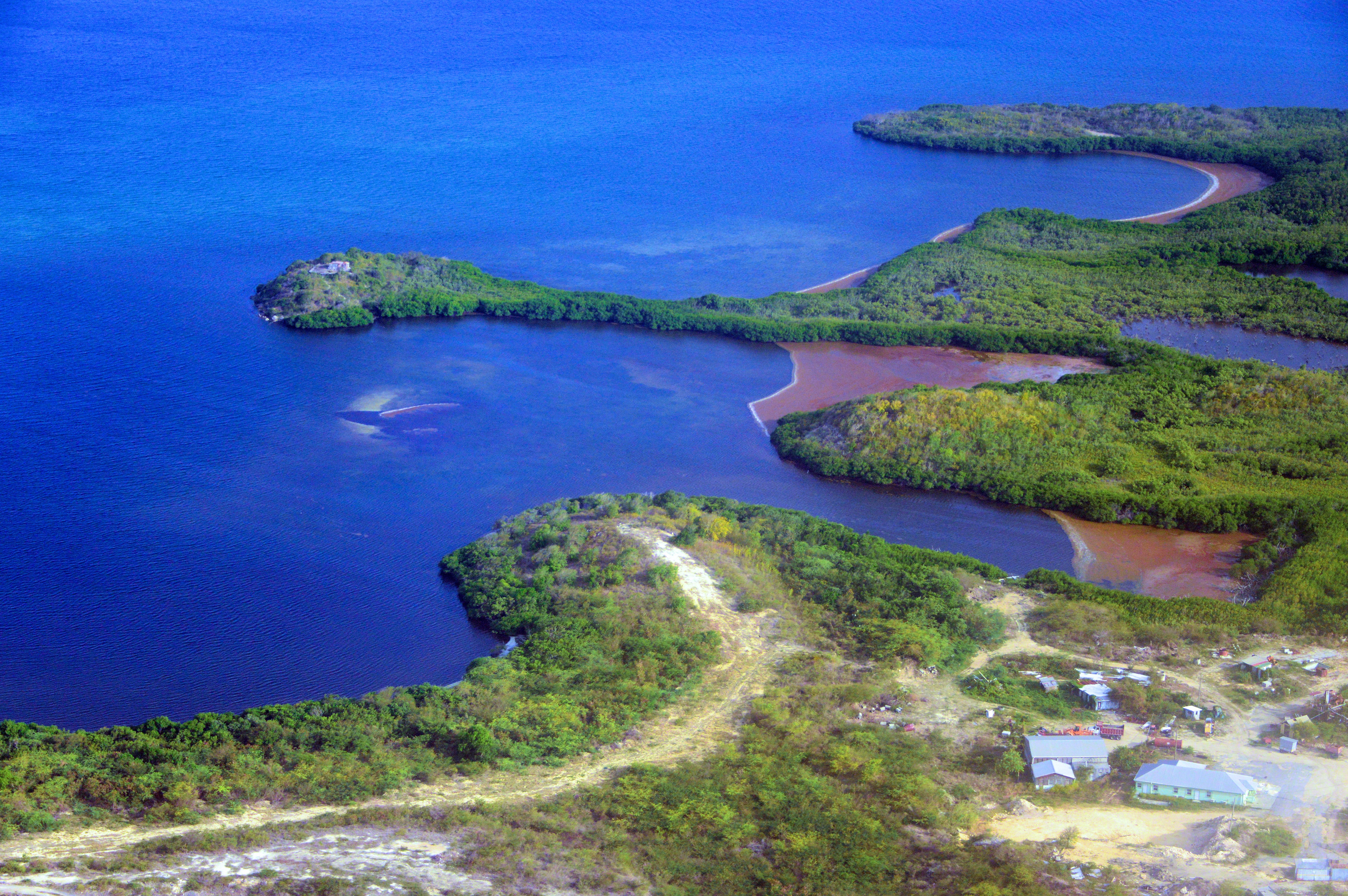 antigua mangroves