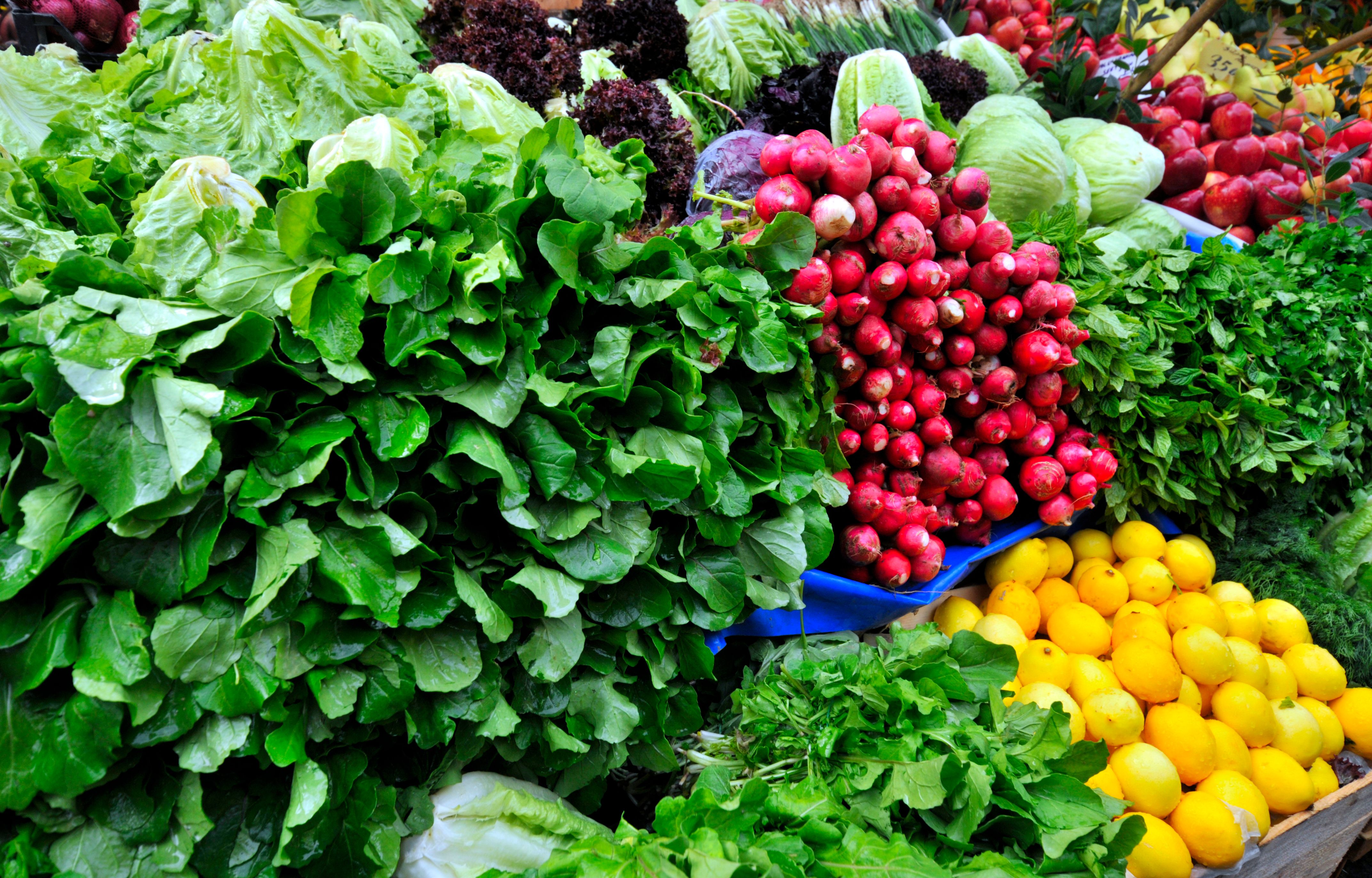 Winter greens Winter greens