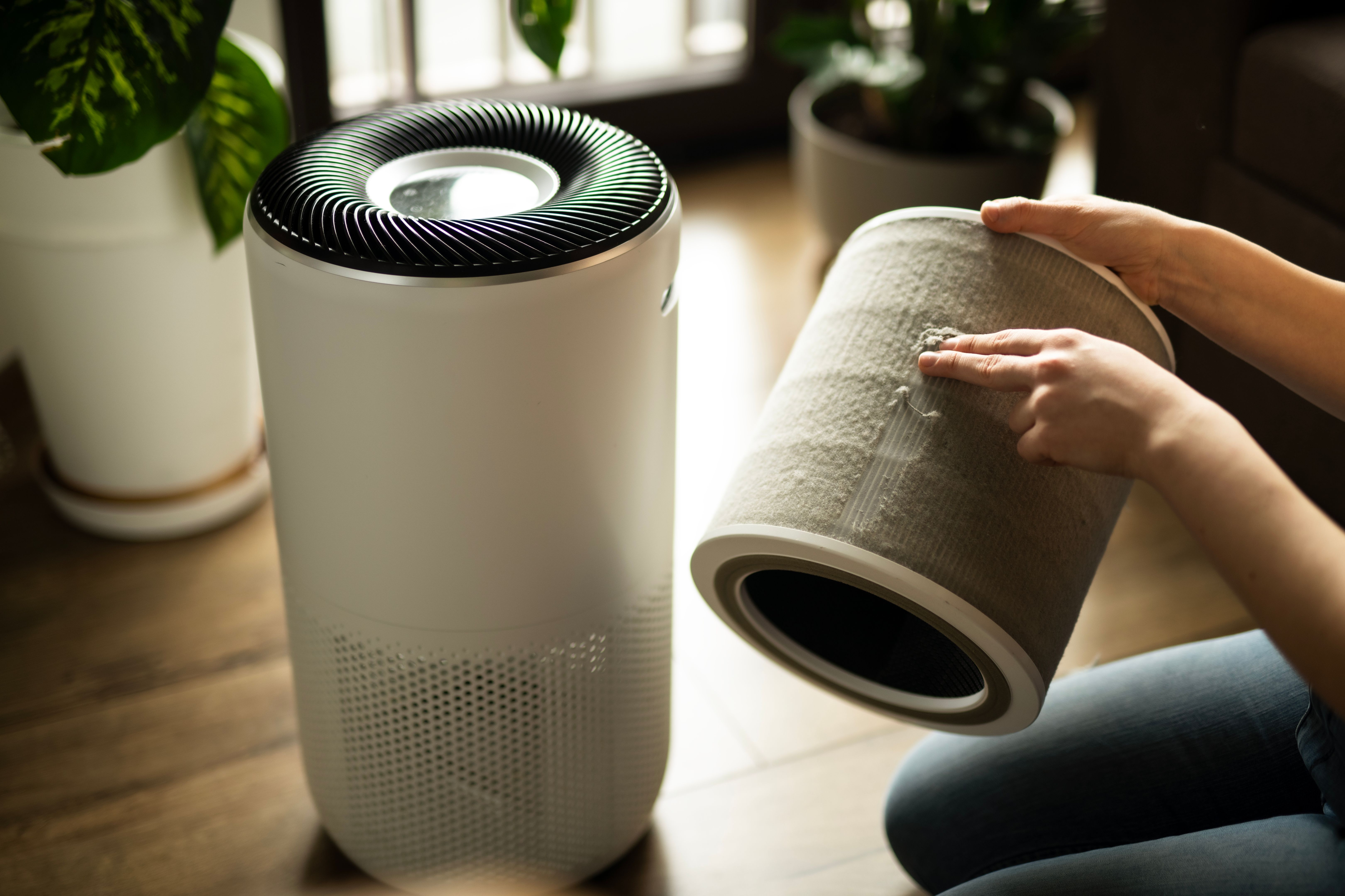air purifier