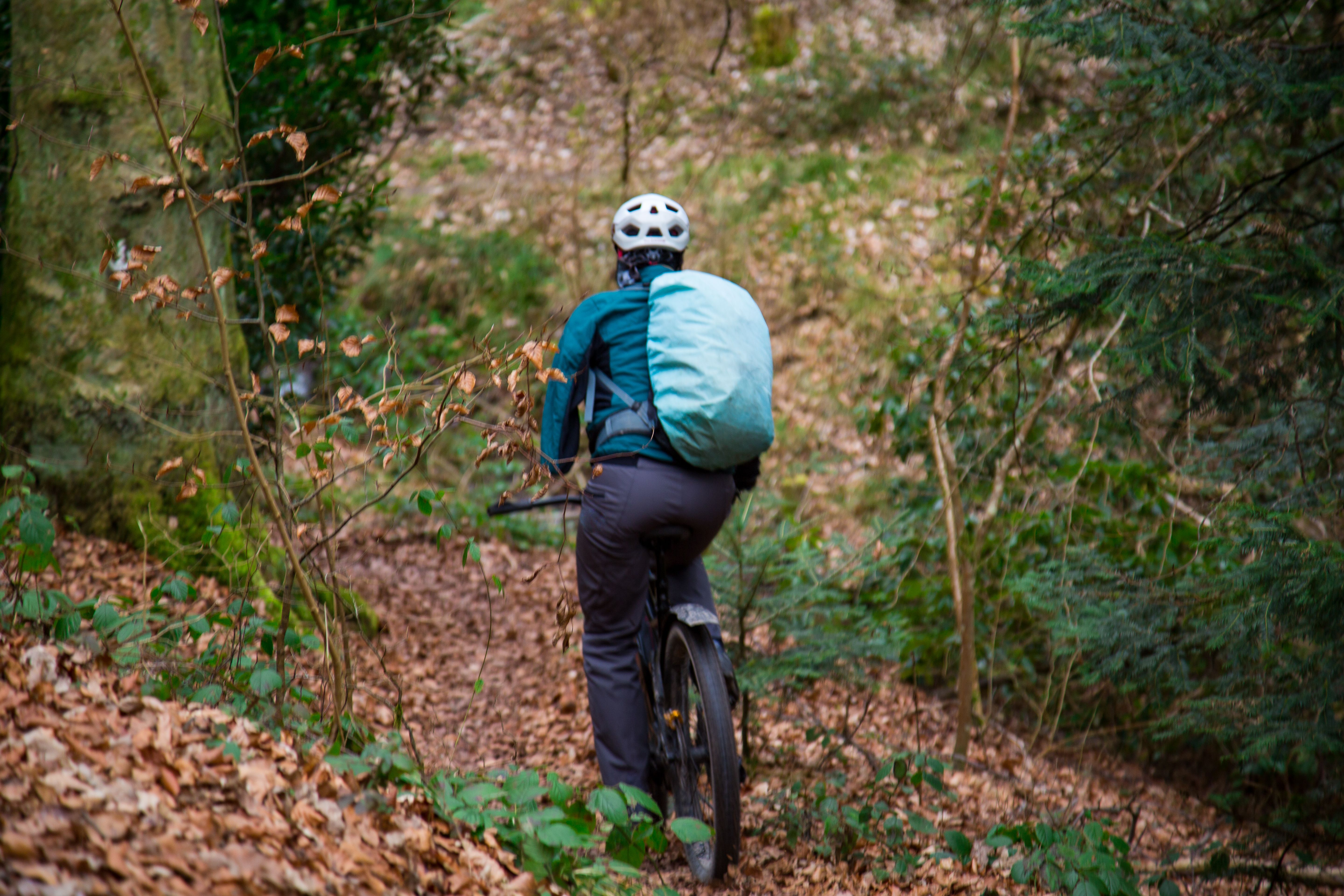 cambridge healthcare