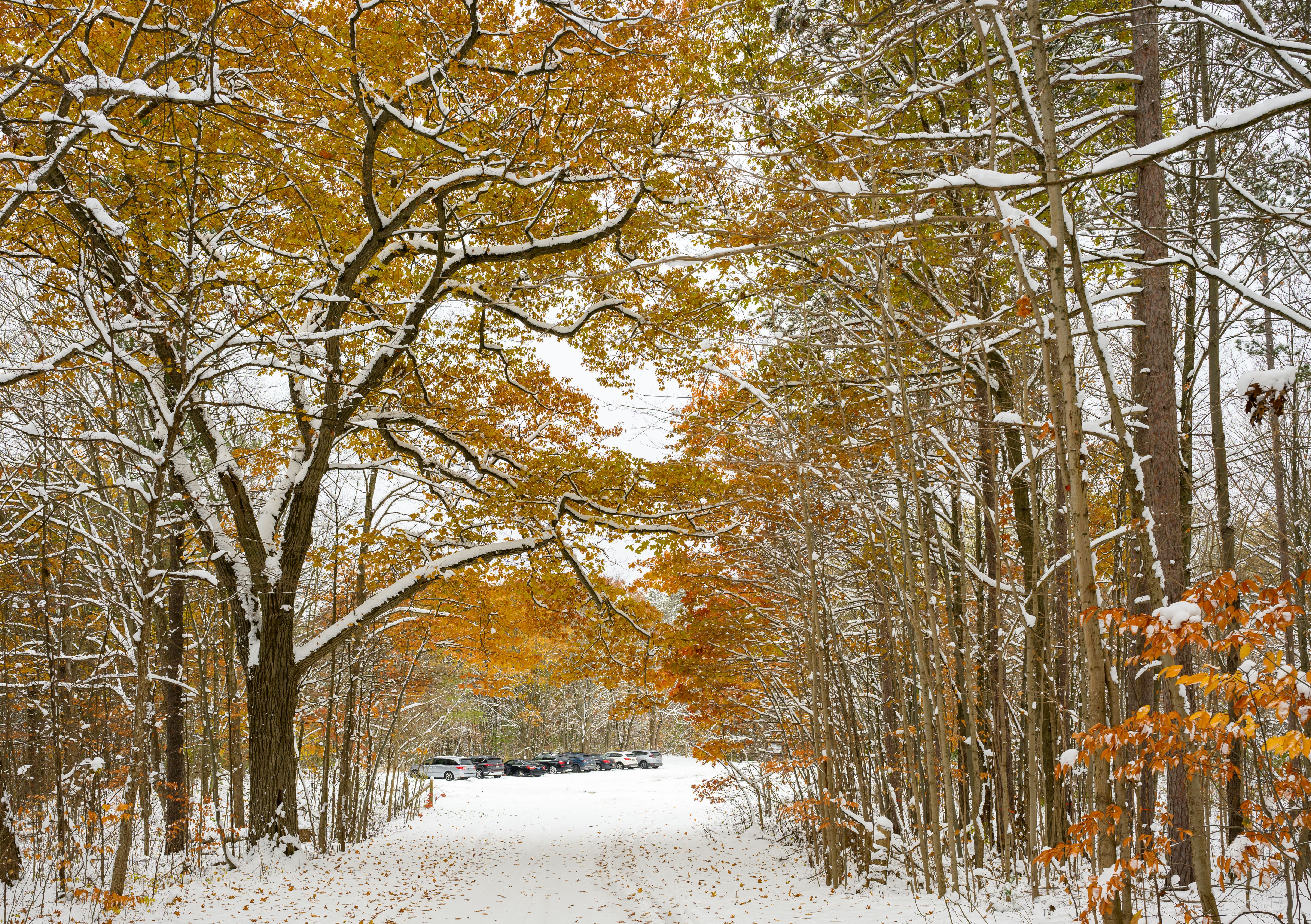 fall road conditions