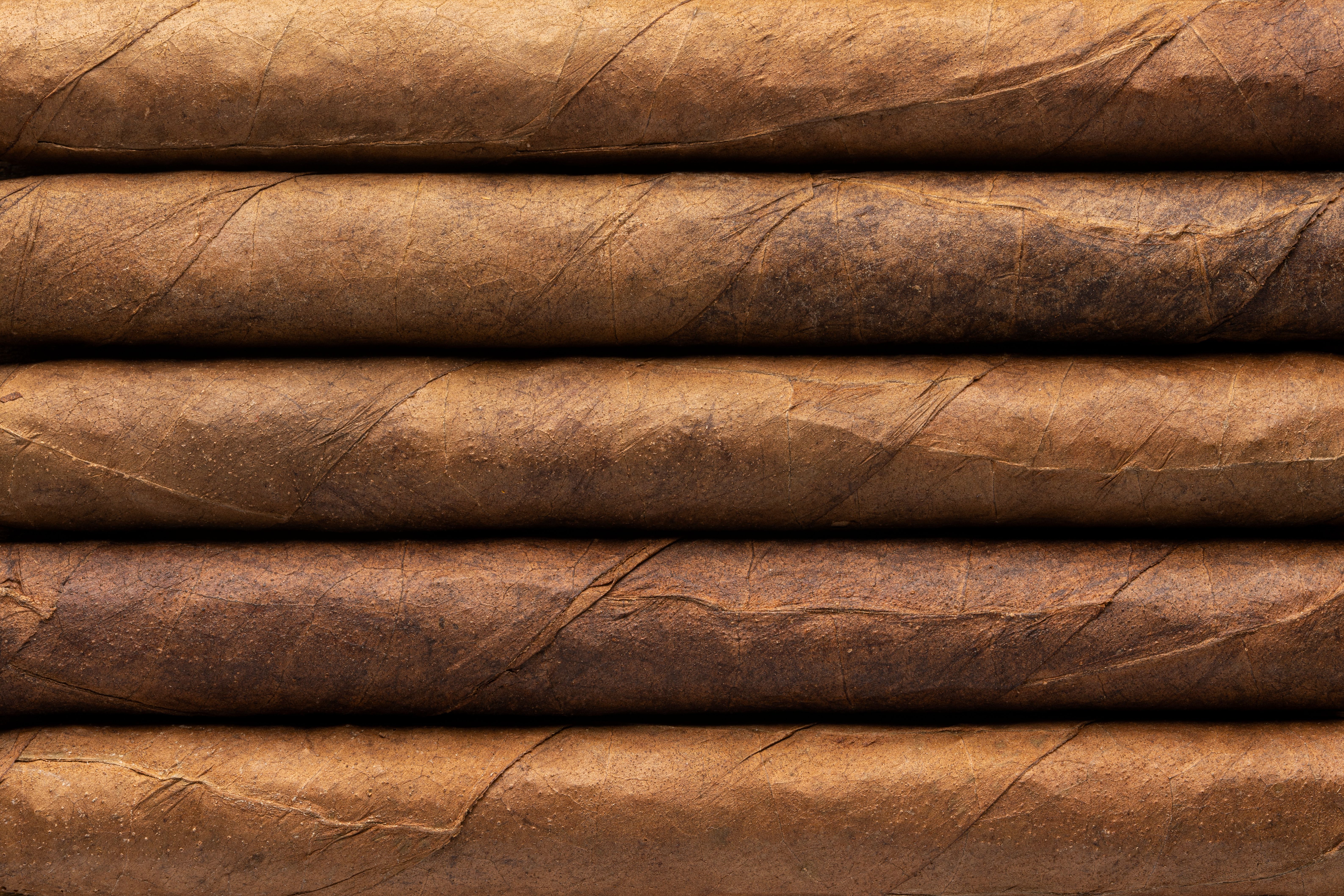 cigars close-up