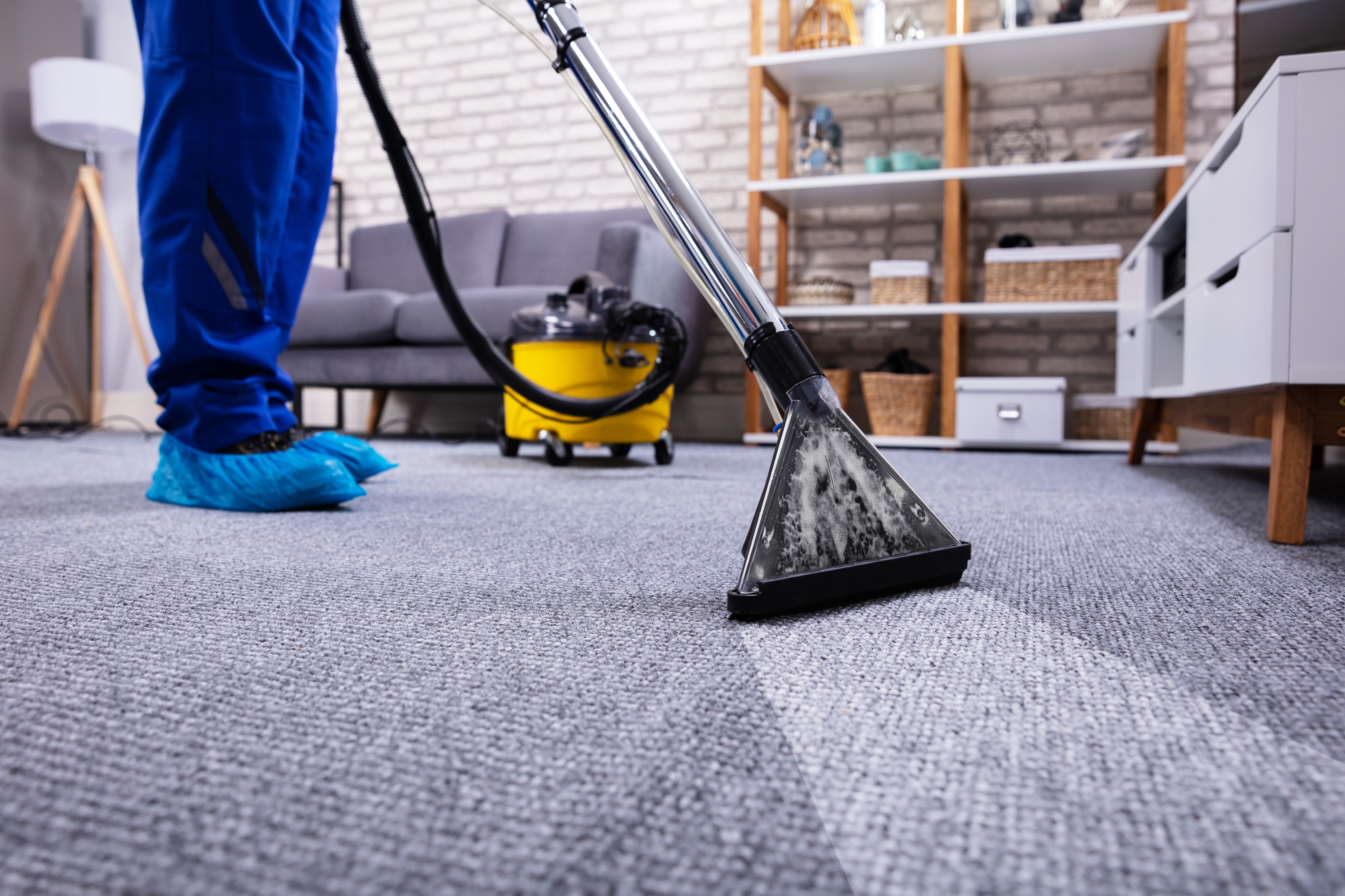 carpet cleaner