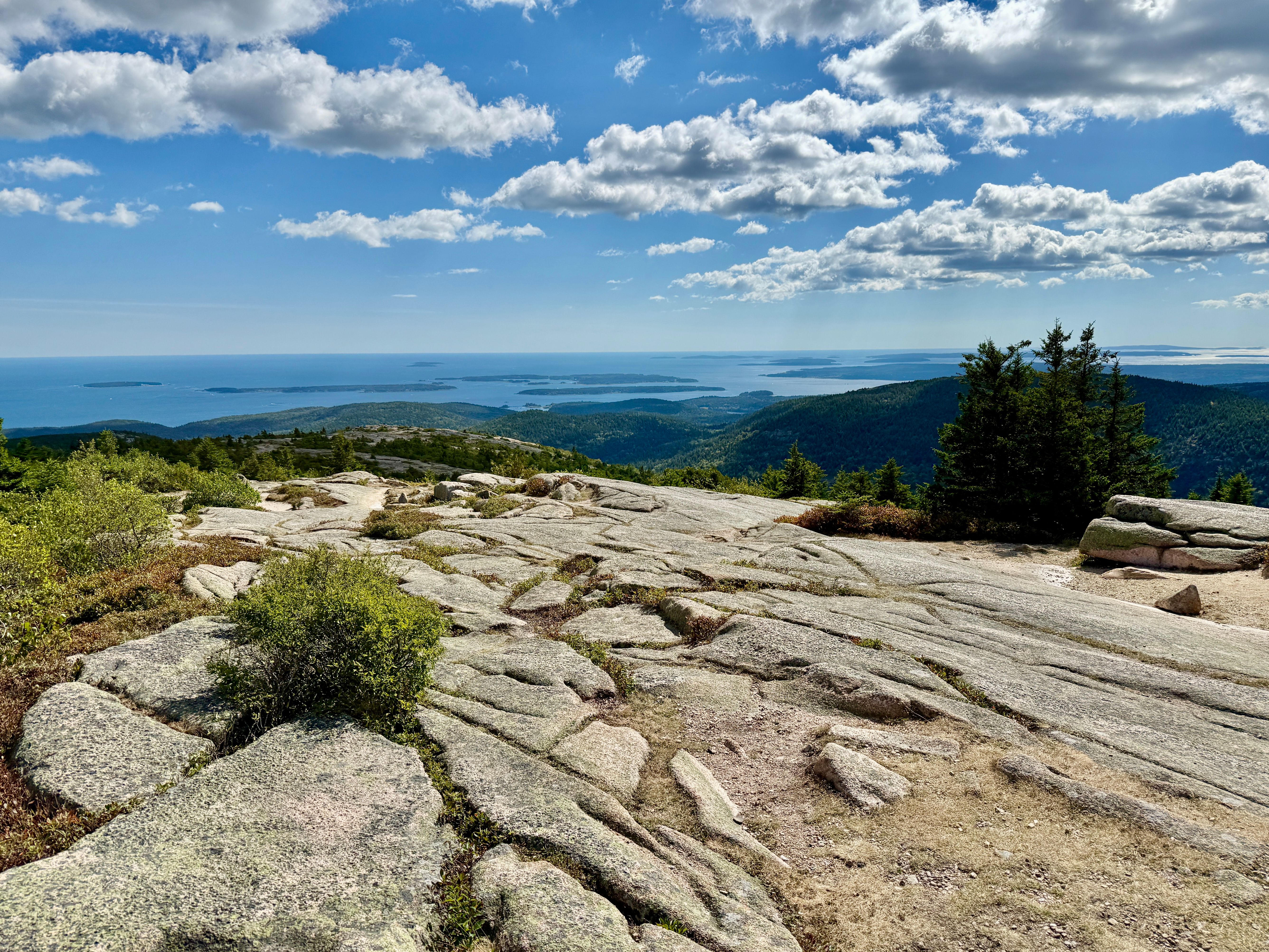 bar harbor coastline