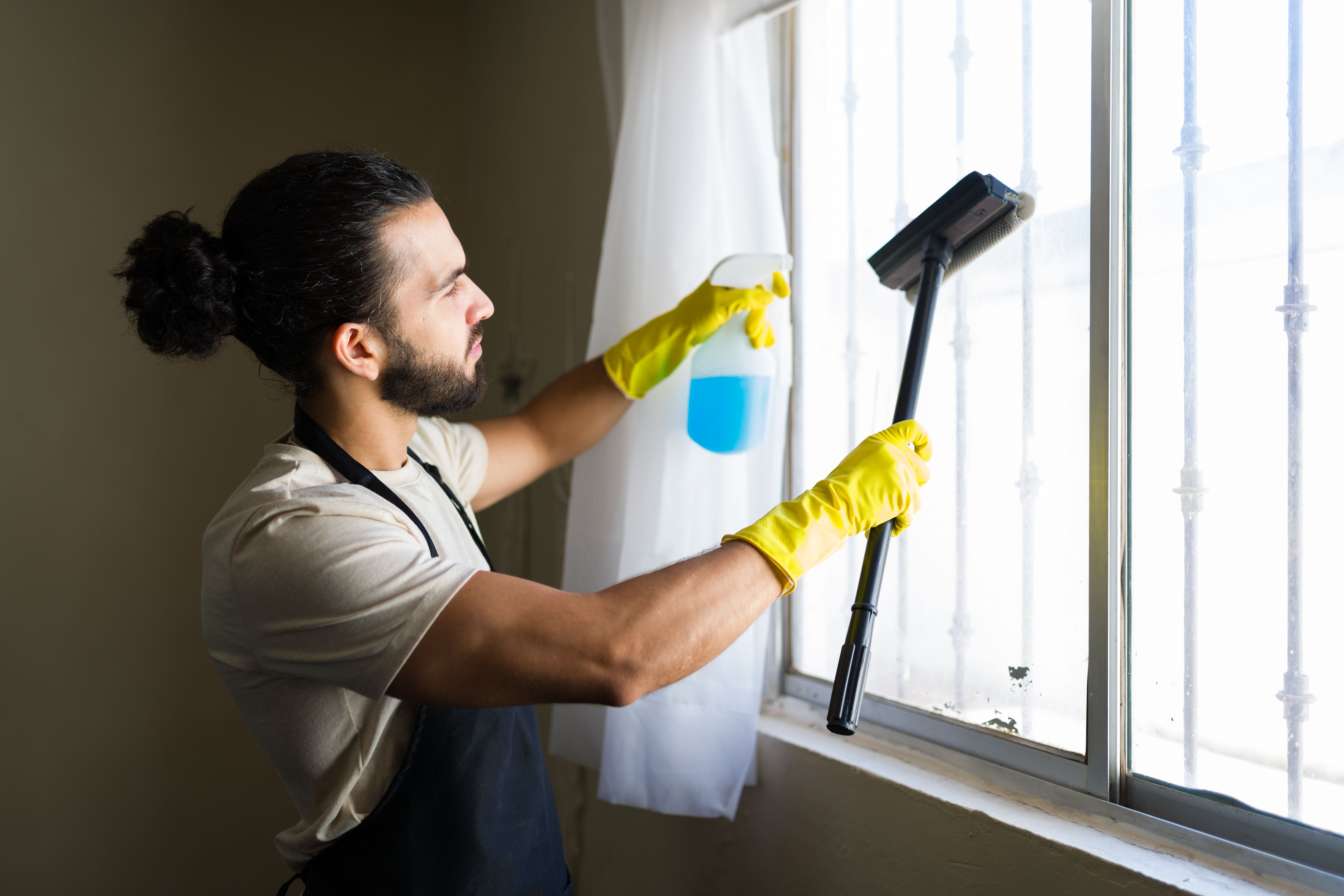 professional window cleaning