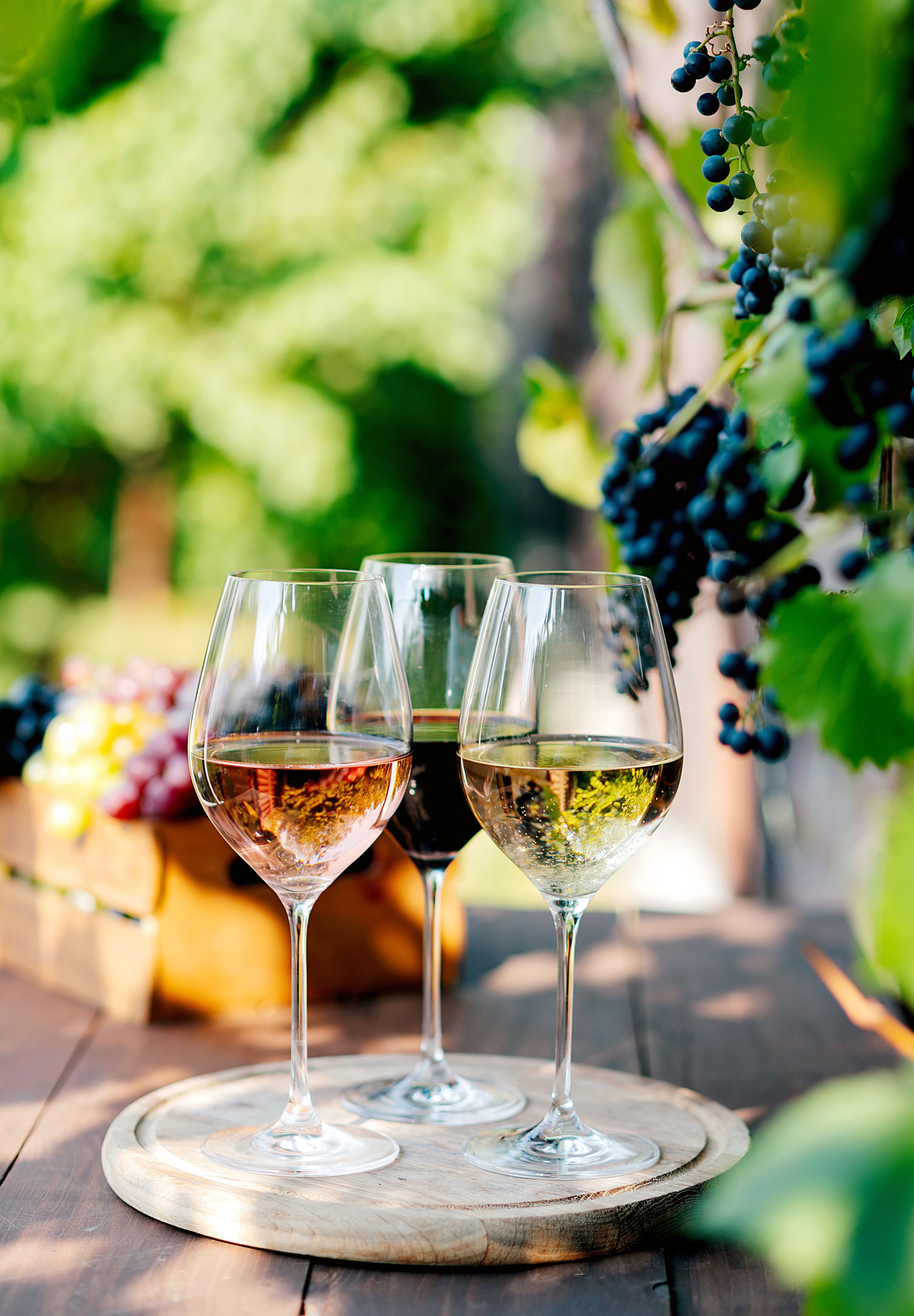 wine selection