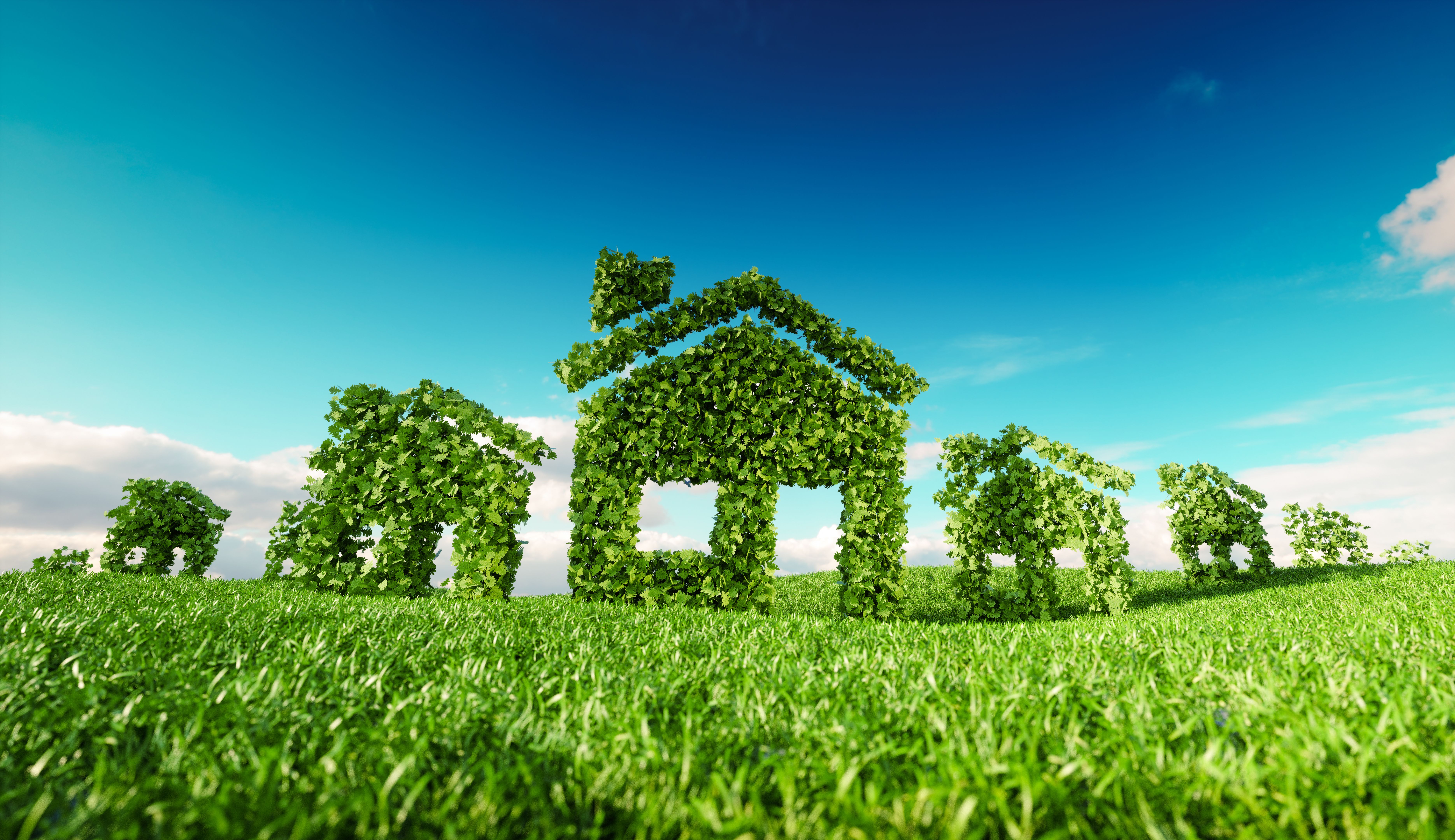eco mortgage homeowners
