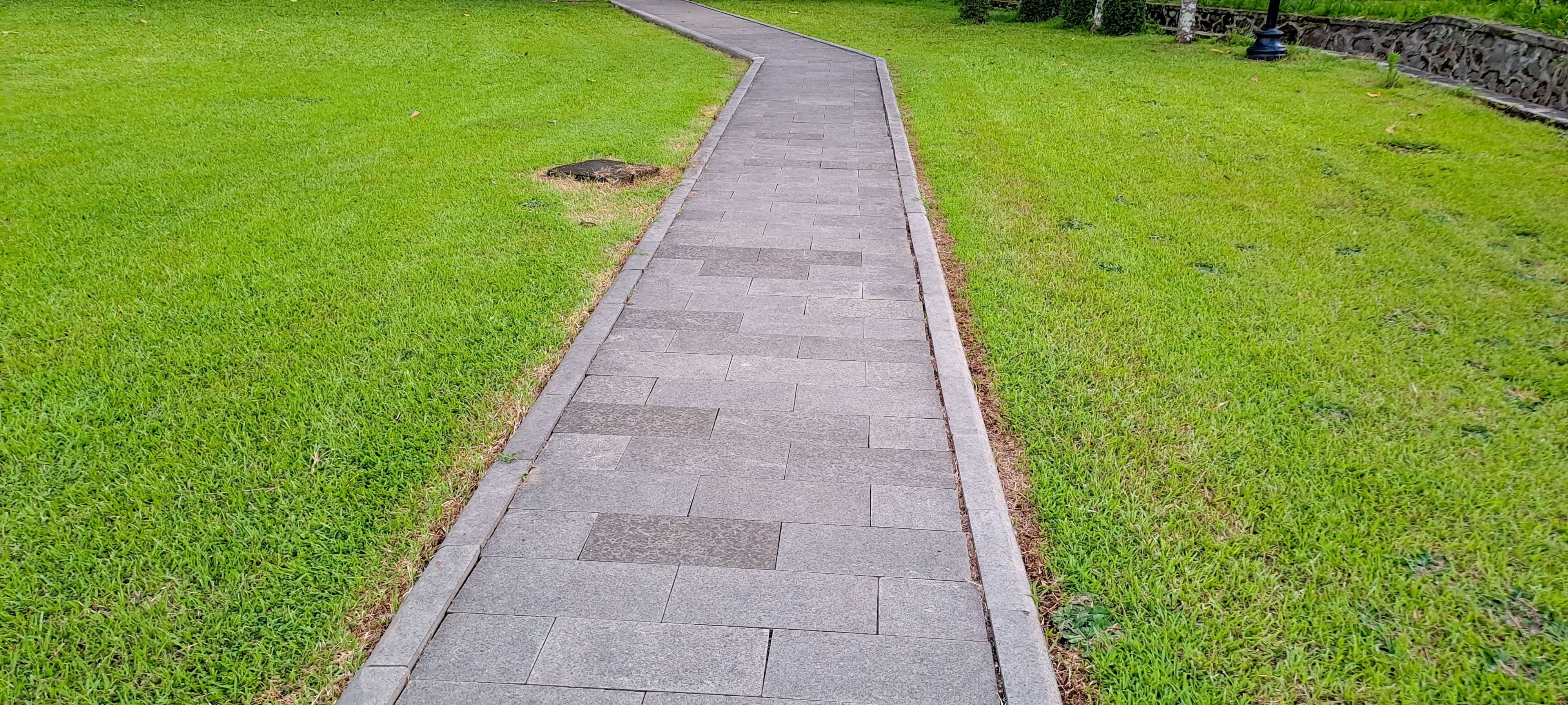 garden pathway