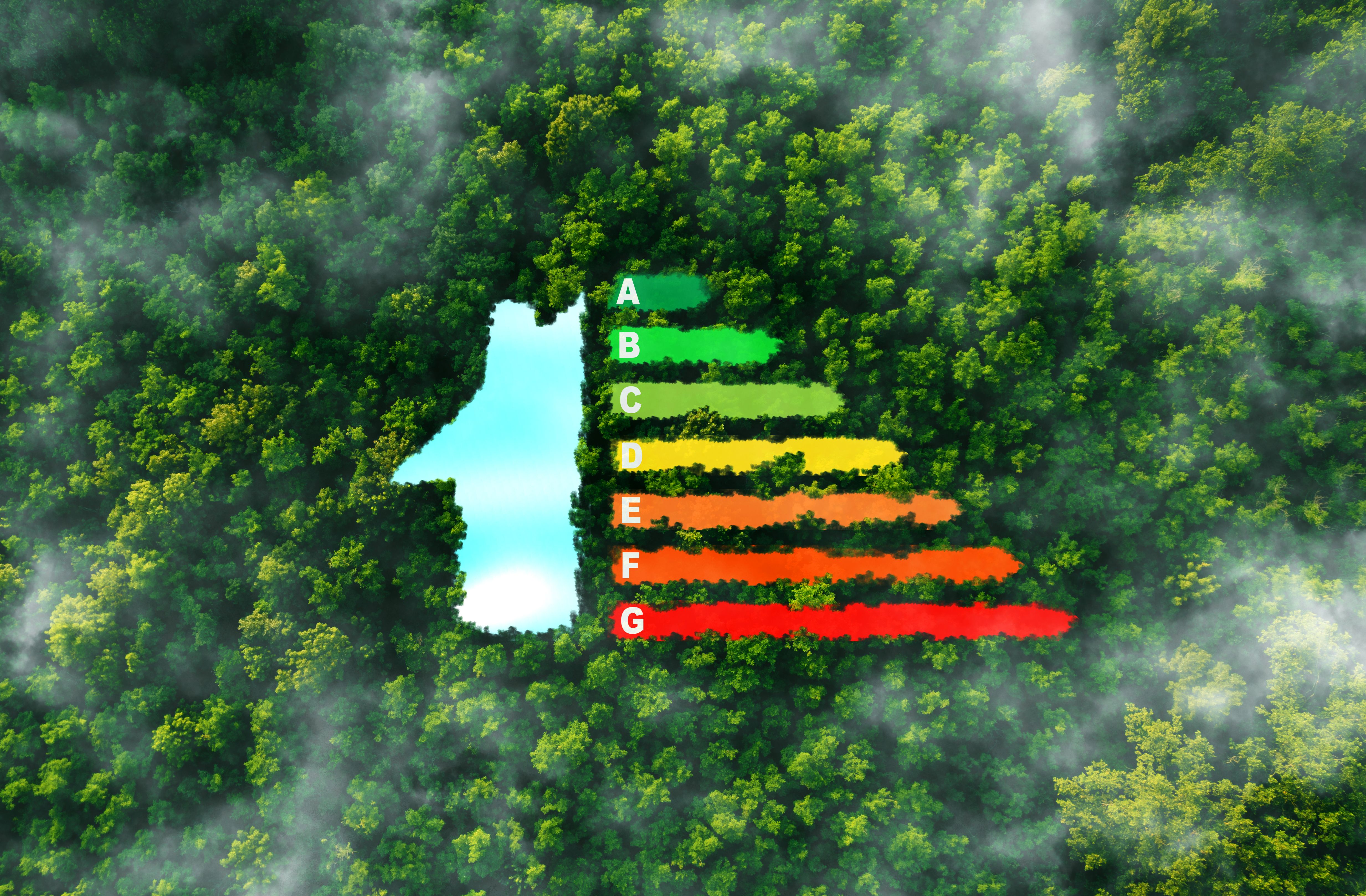 eco-friendly renovation