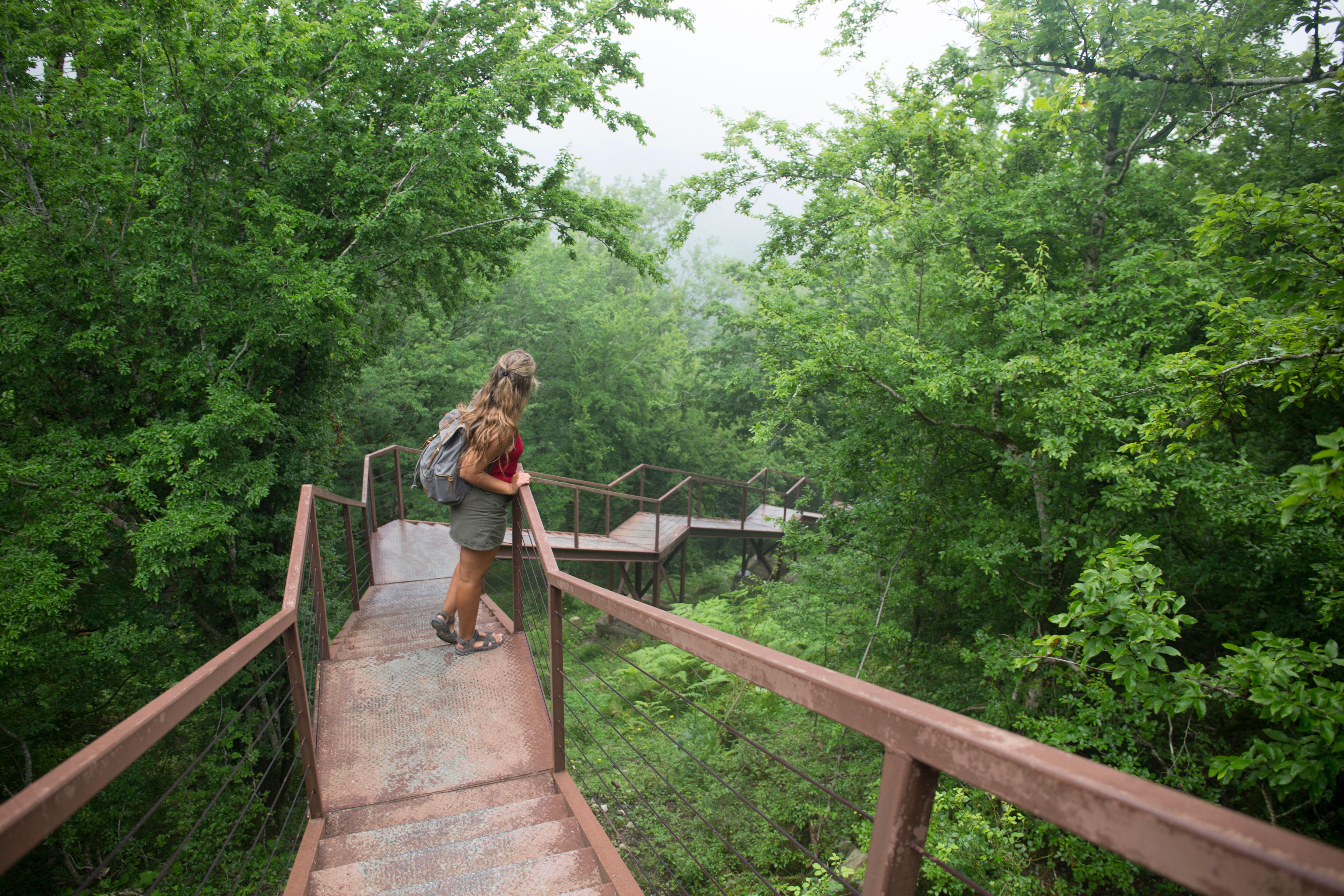 Young woman hiking along wooden walkway in forest