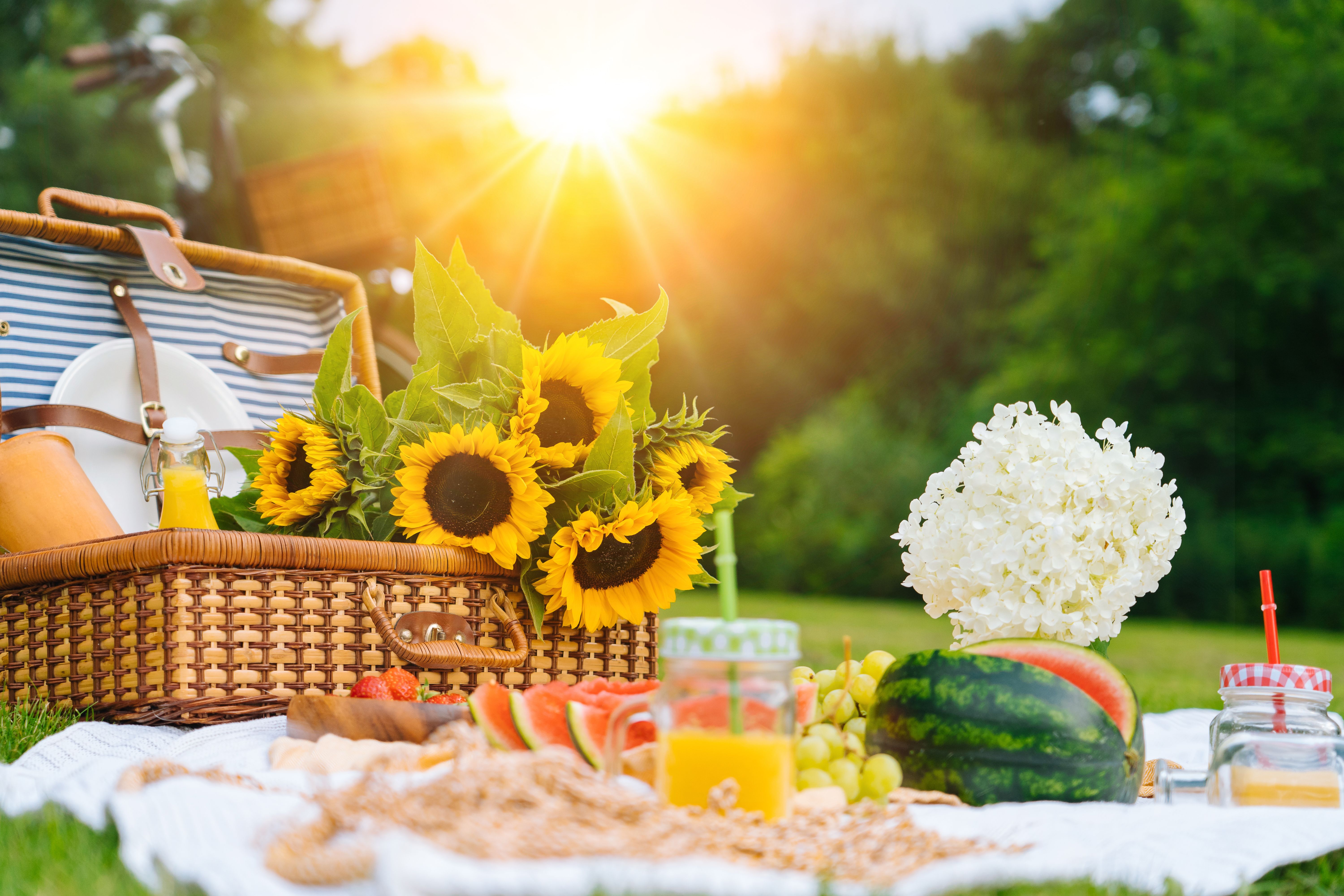 summer picnic