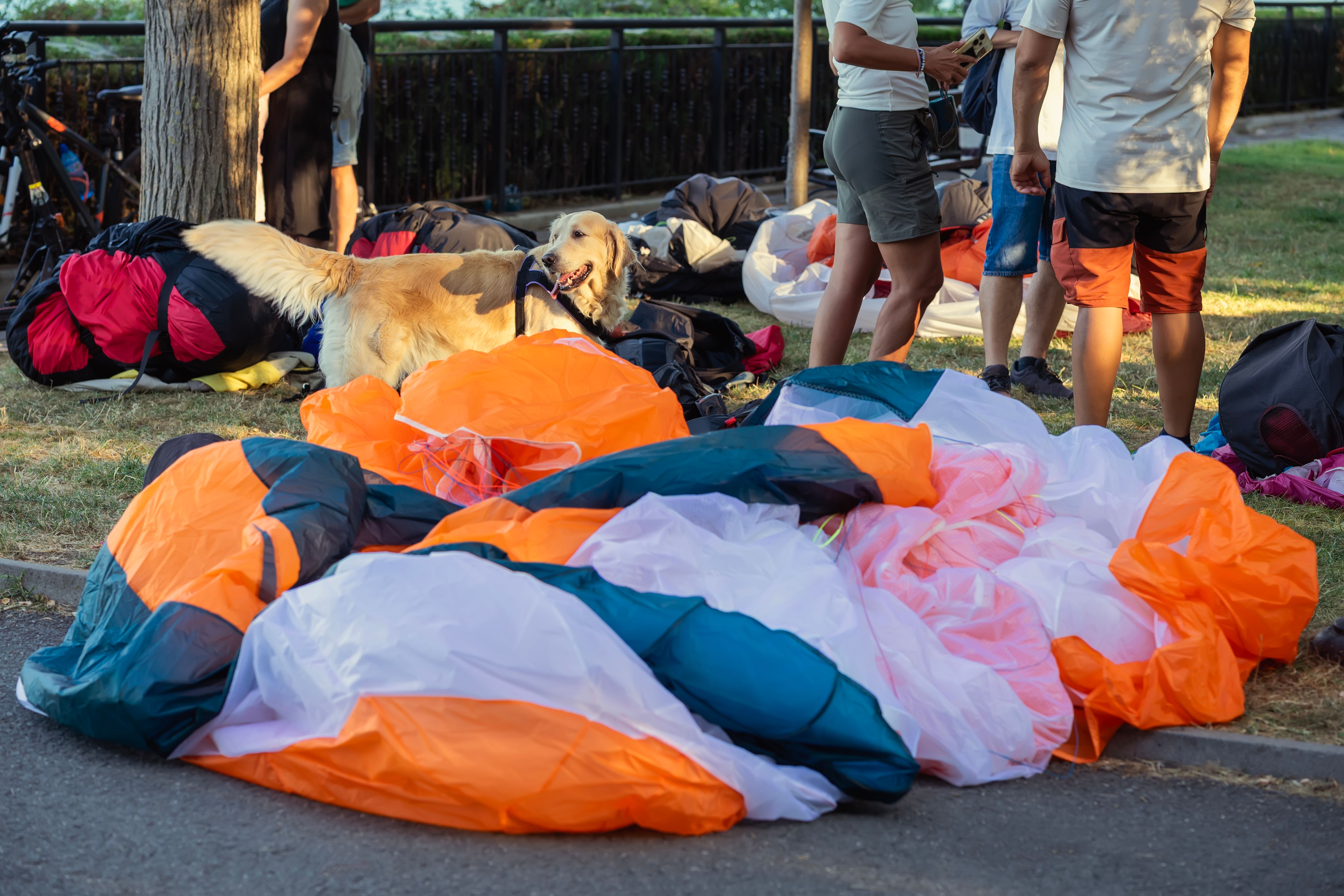 paragliding community