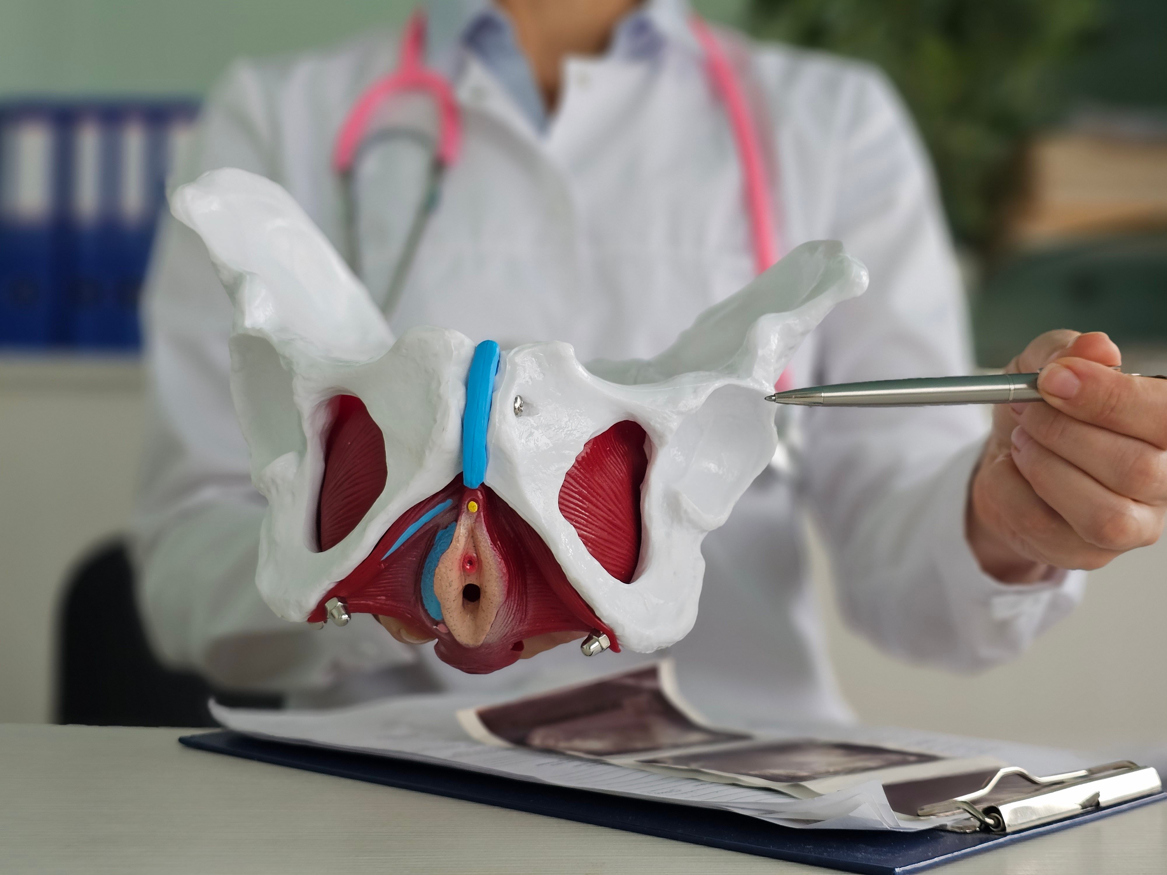 pelvic health
