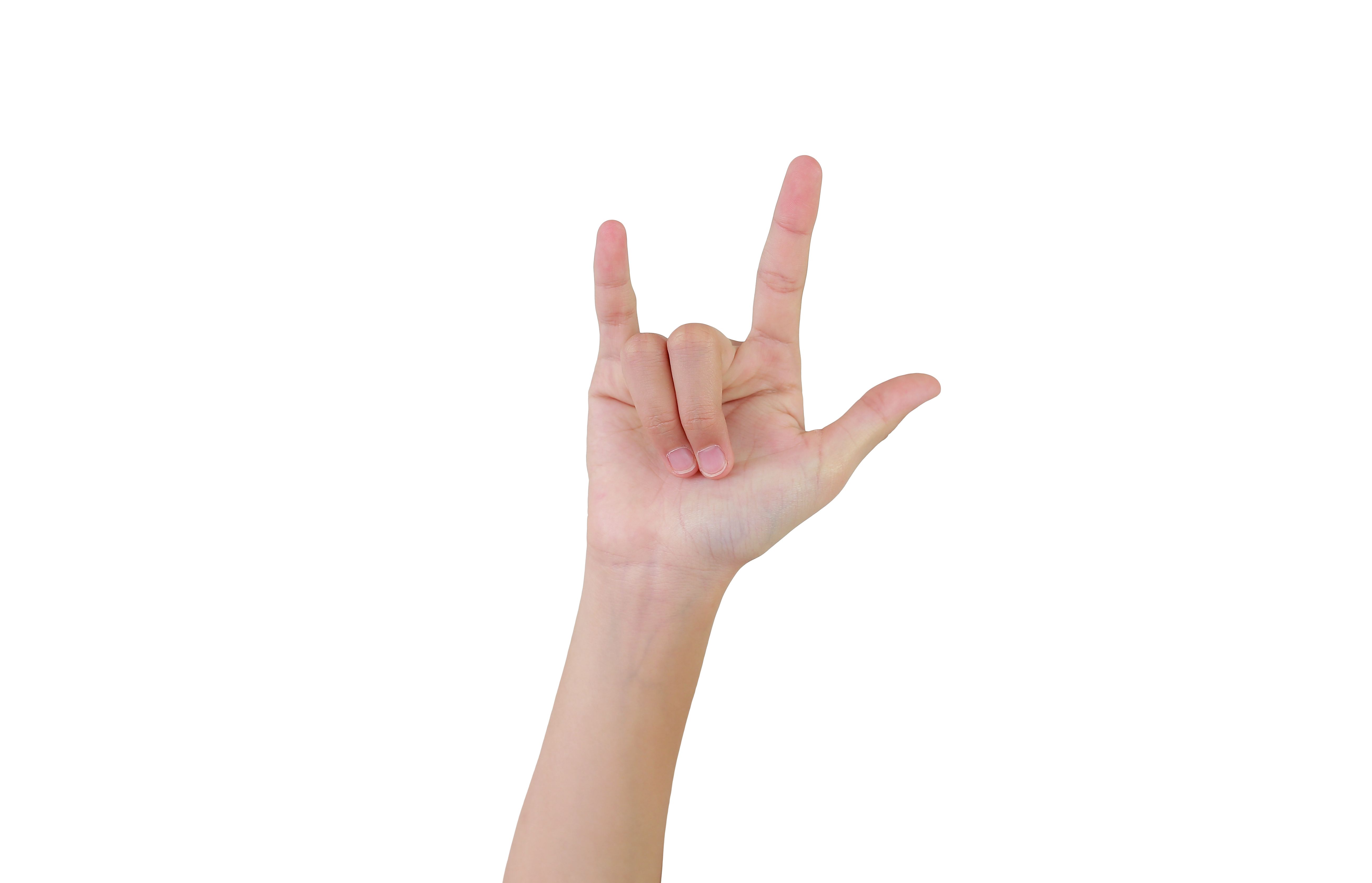 sign language
