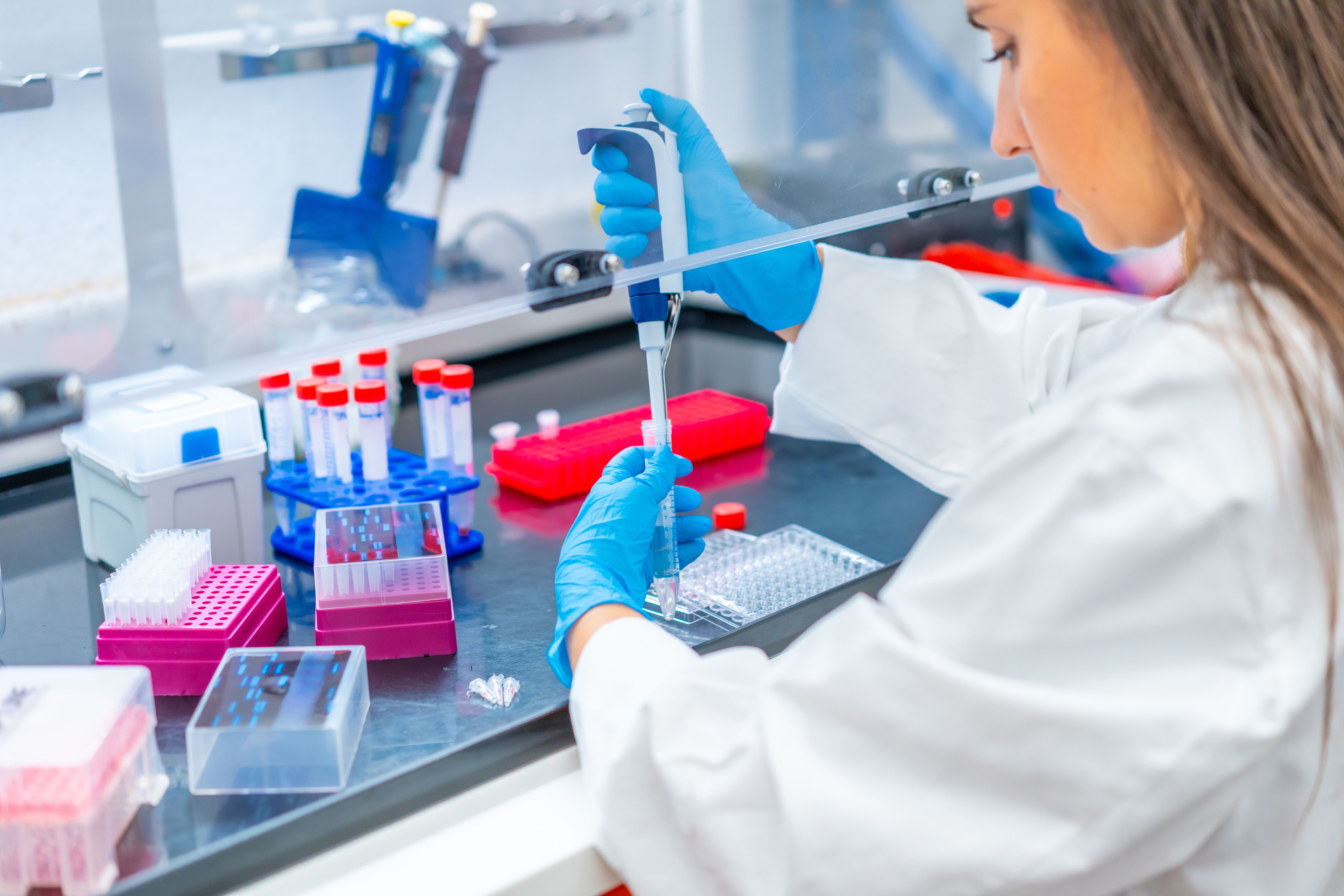 stem cell research