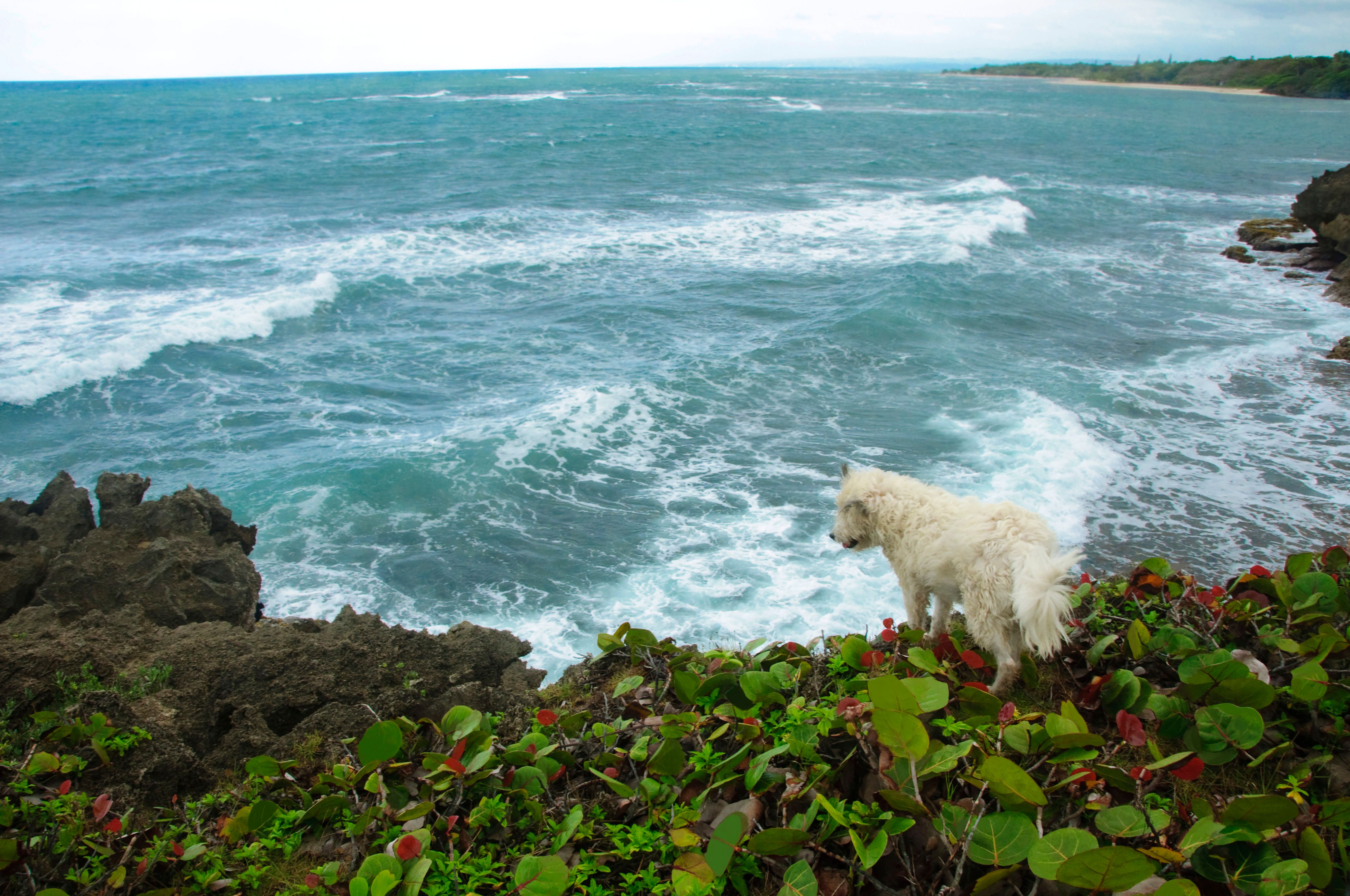 nonprofit storytelling