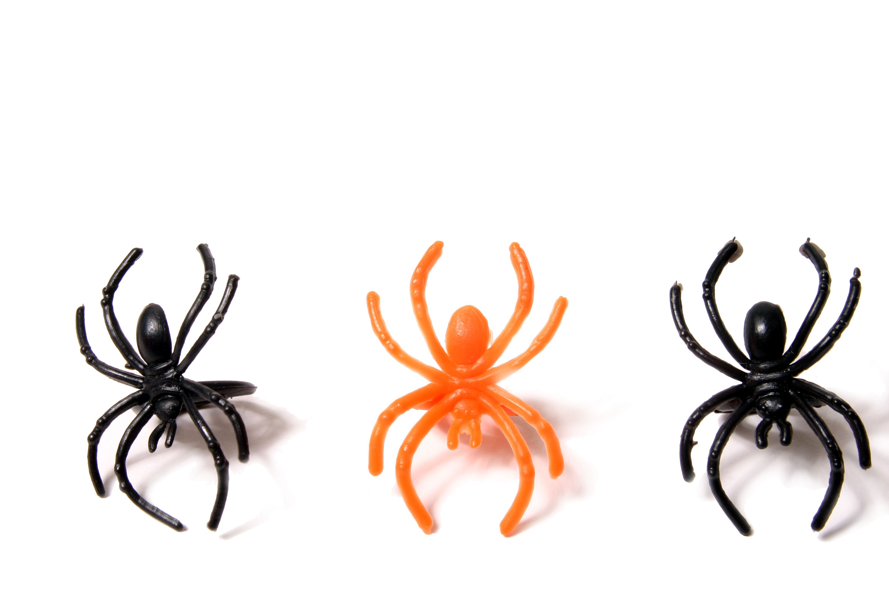 Plastic Spider Rings