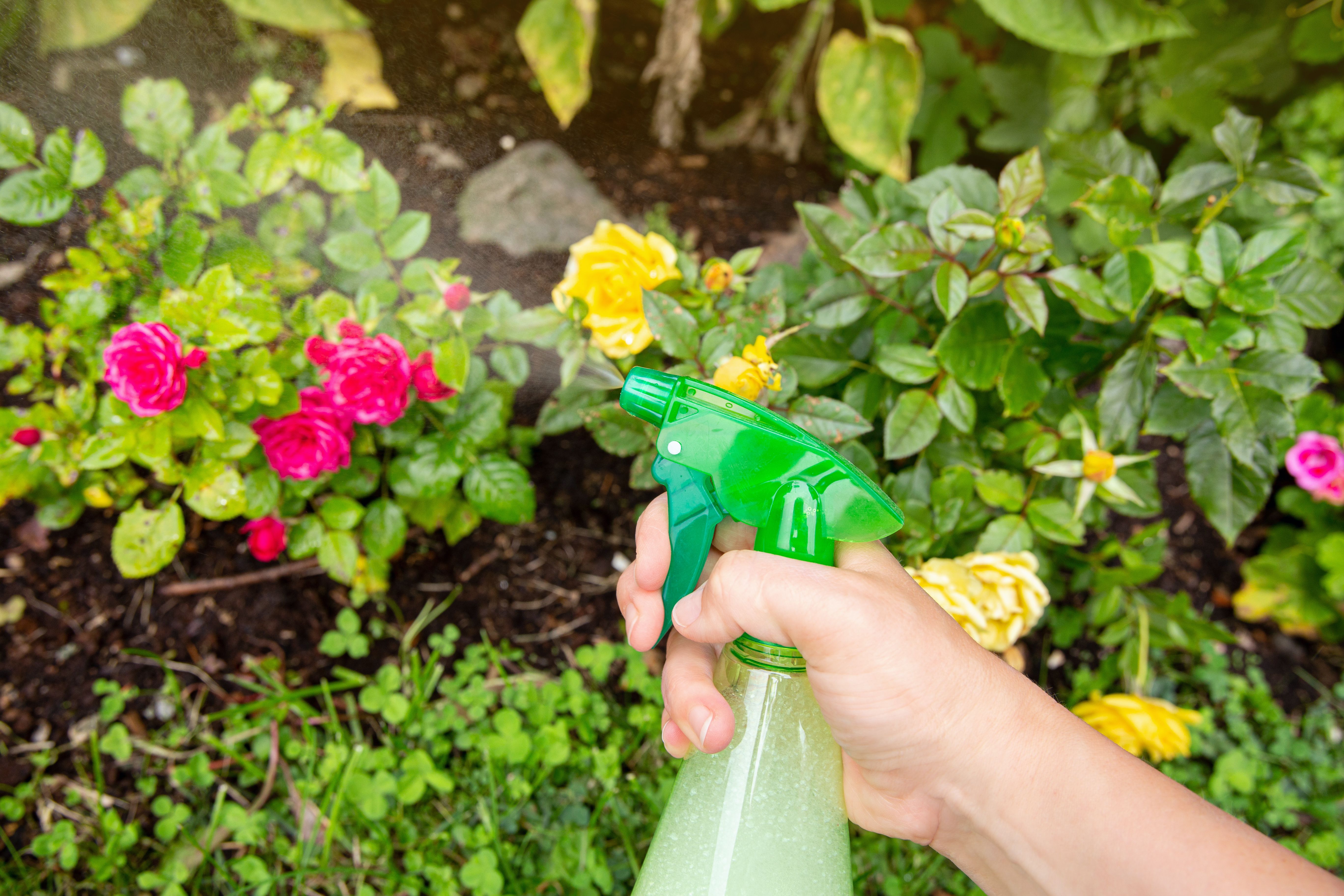 diy garden spray
