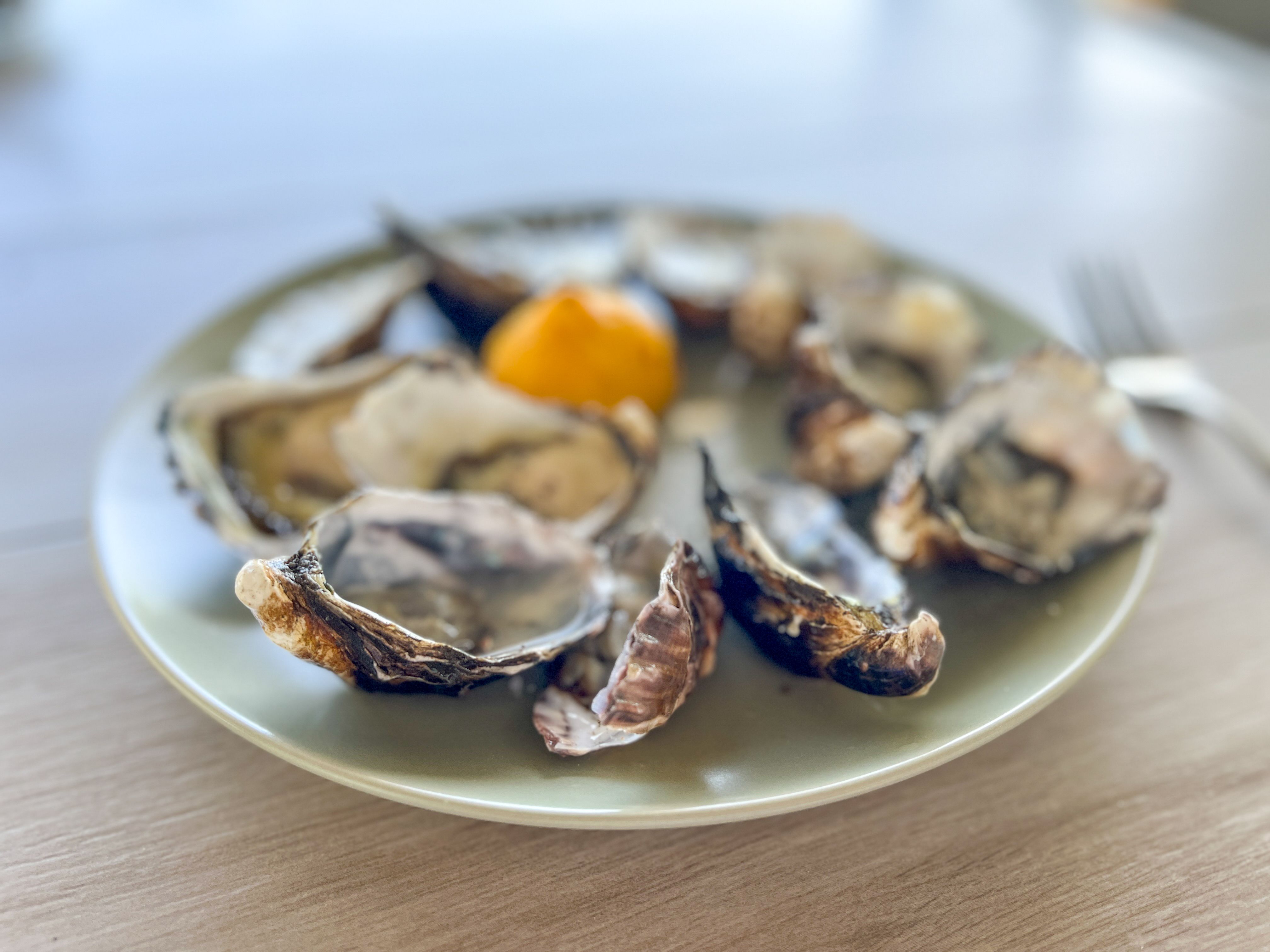 oyster tasting