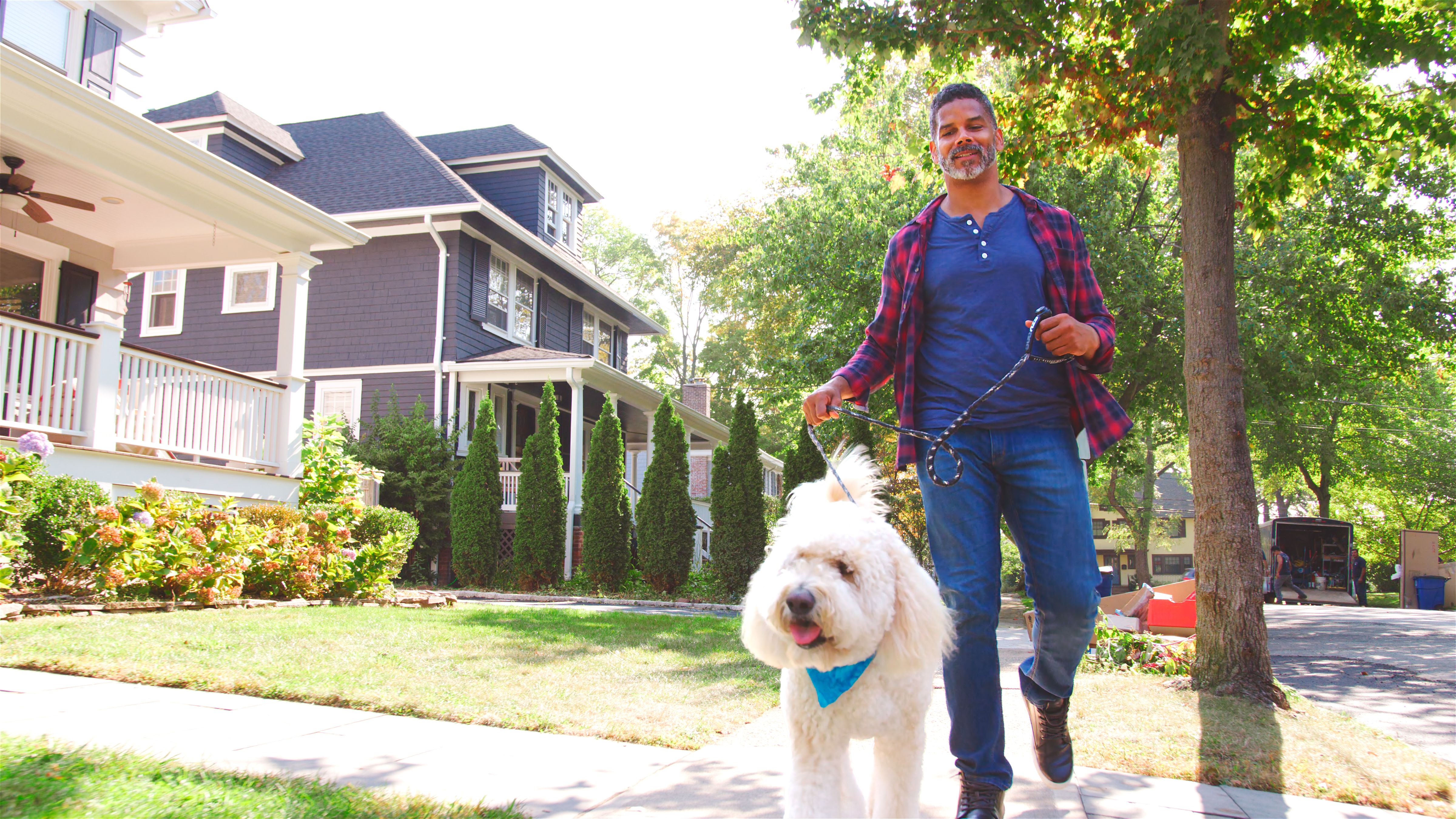 dog walking neighborhood