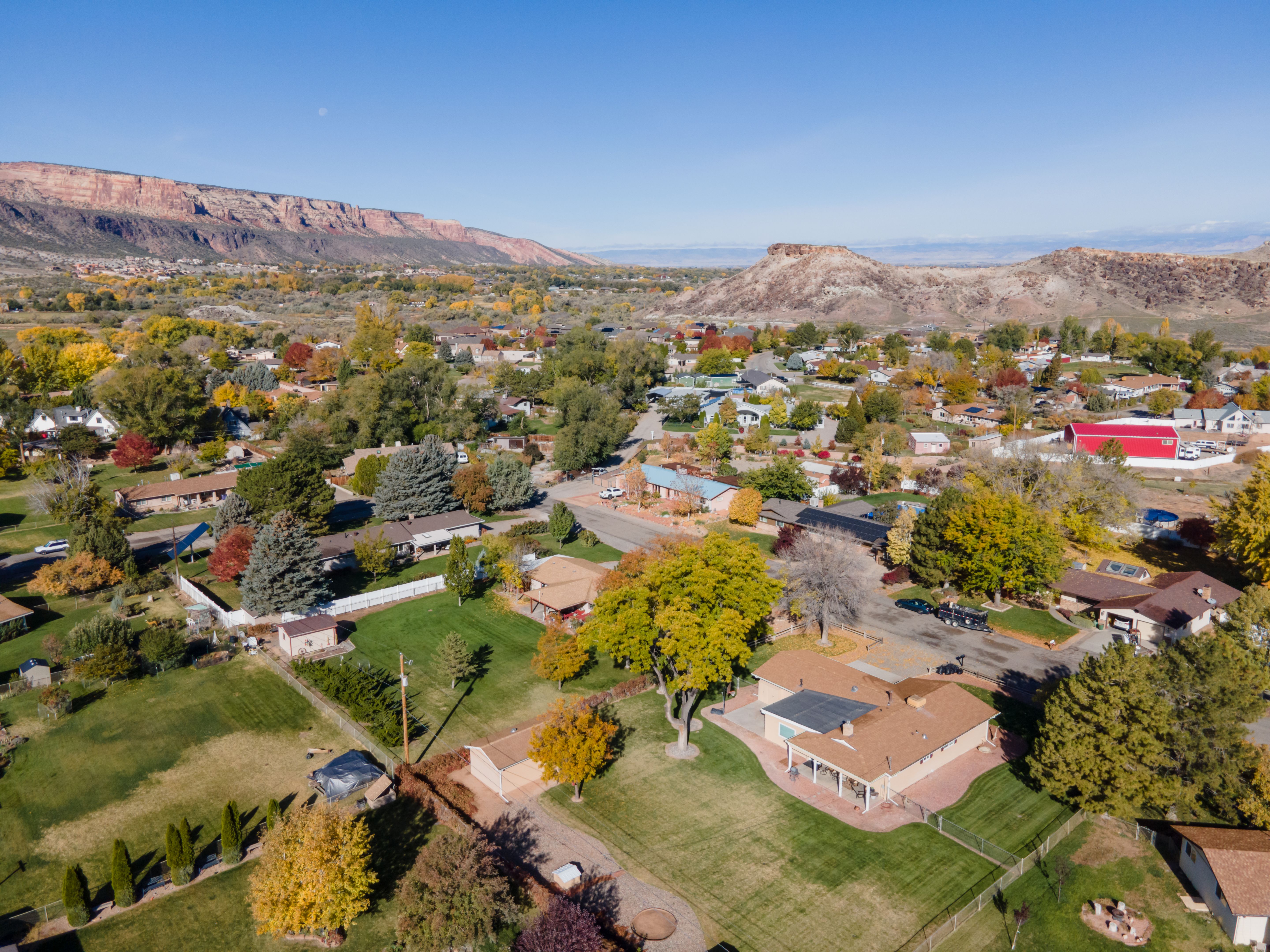 fruita colorado real estate