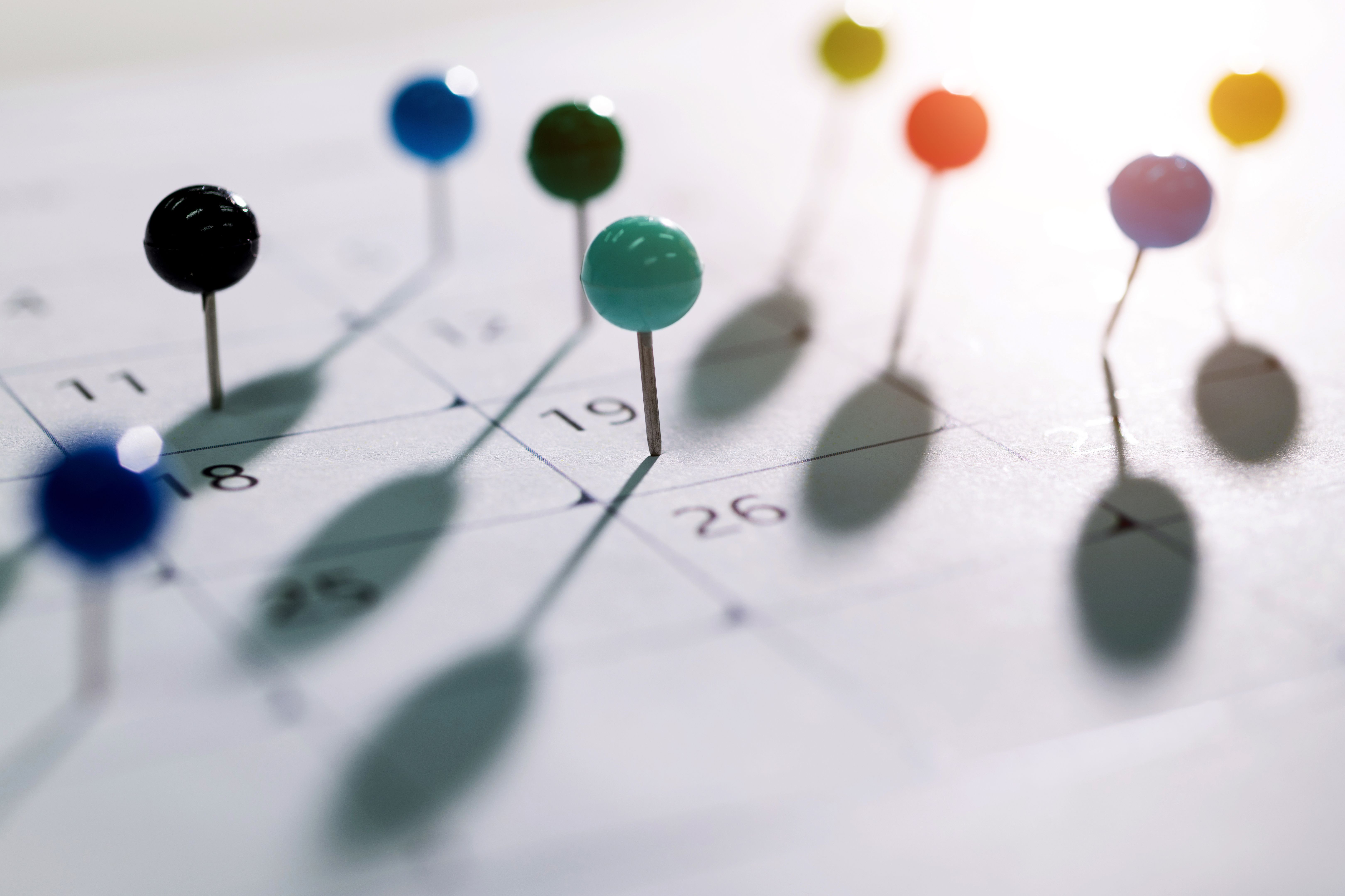 project timeline