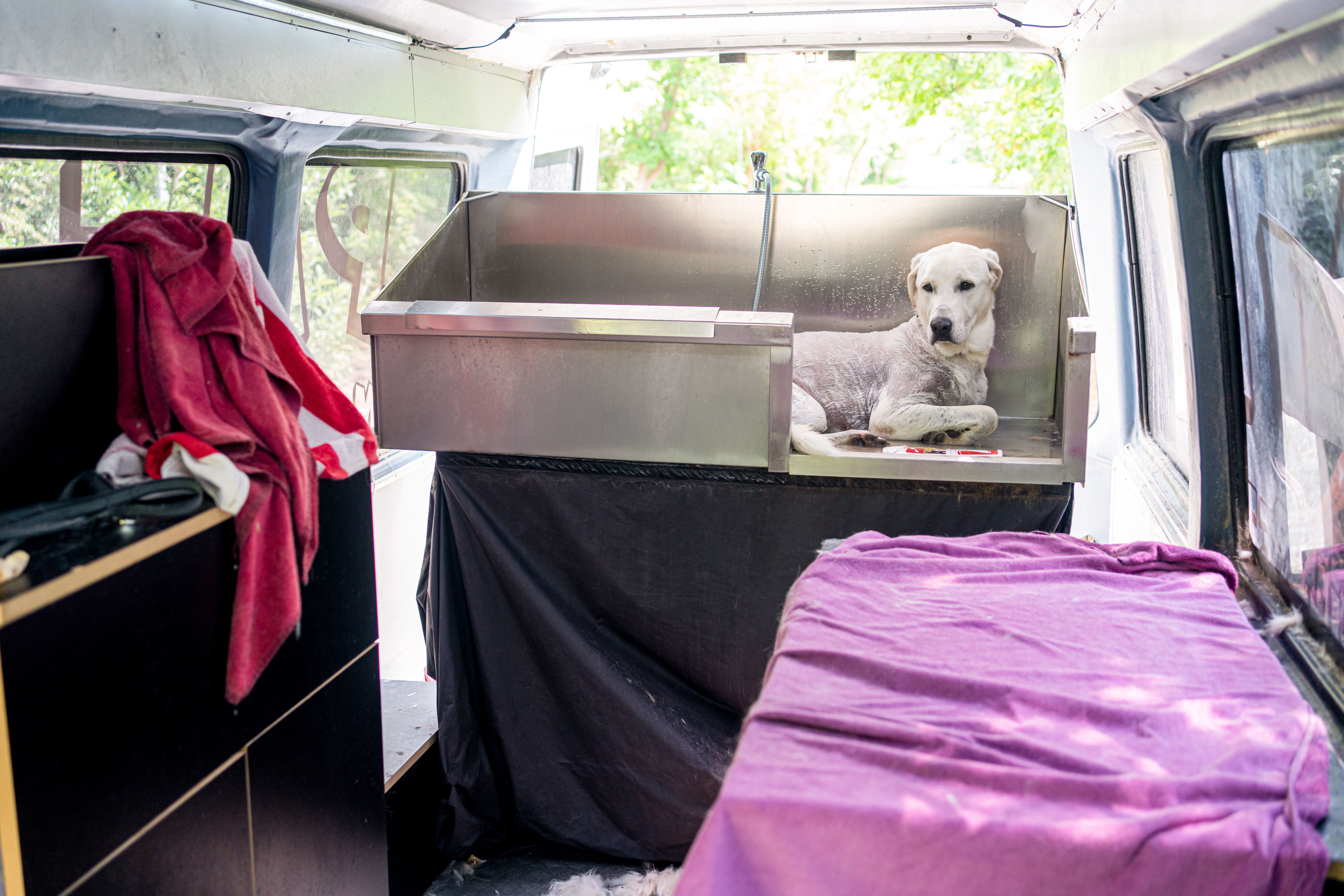 pet grooming van
