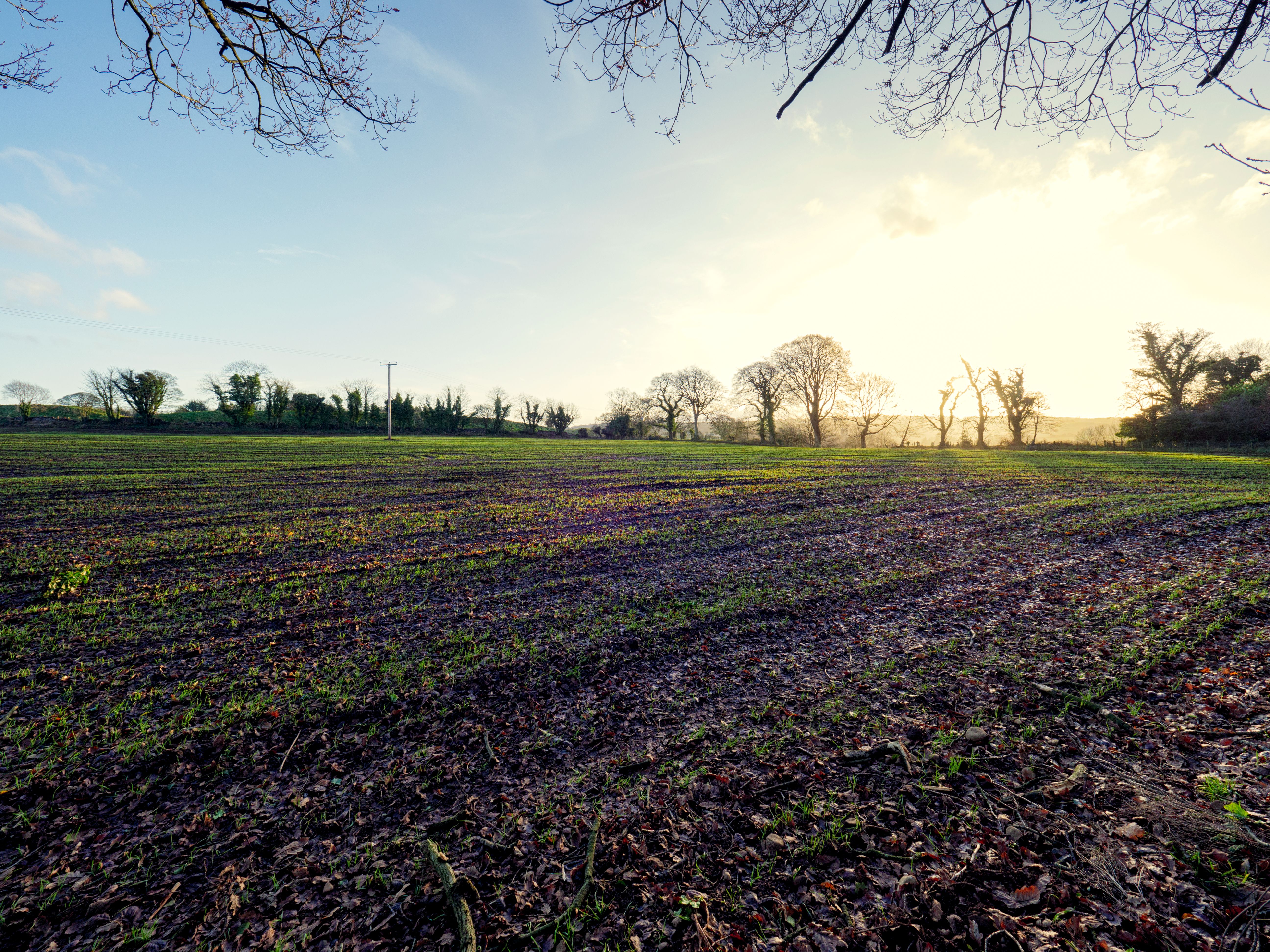 winter countryside morning,Northern Ireland