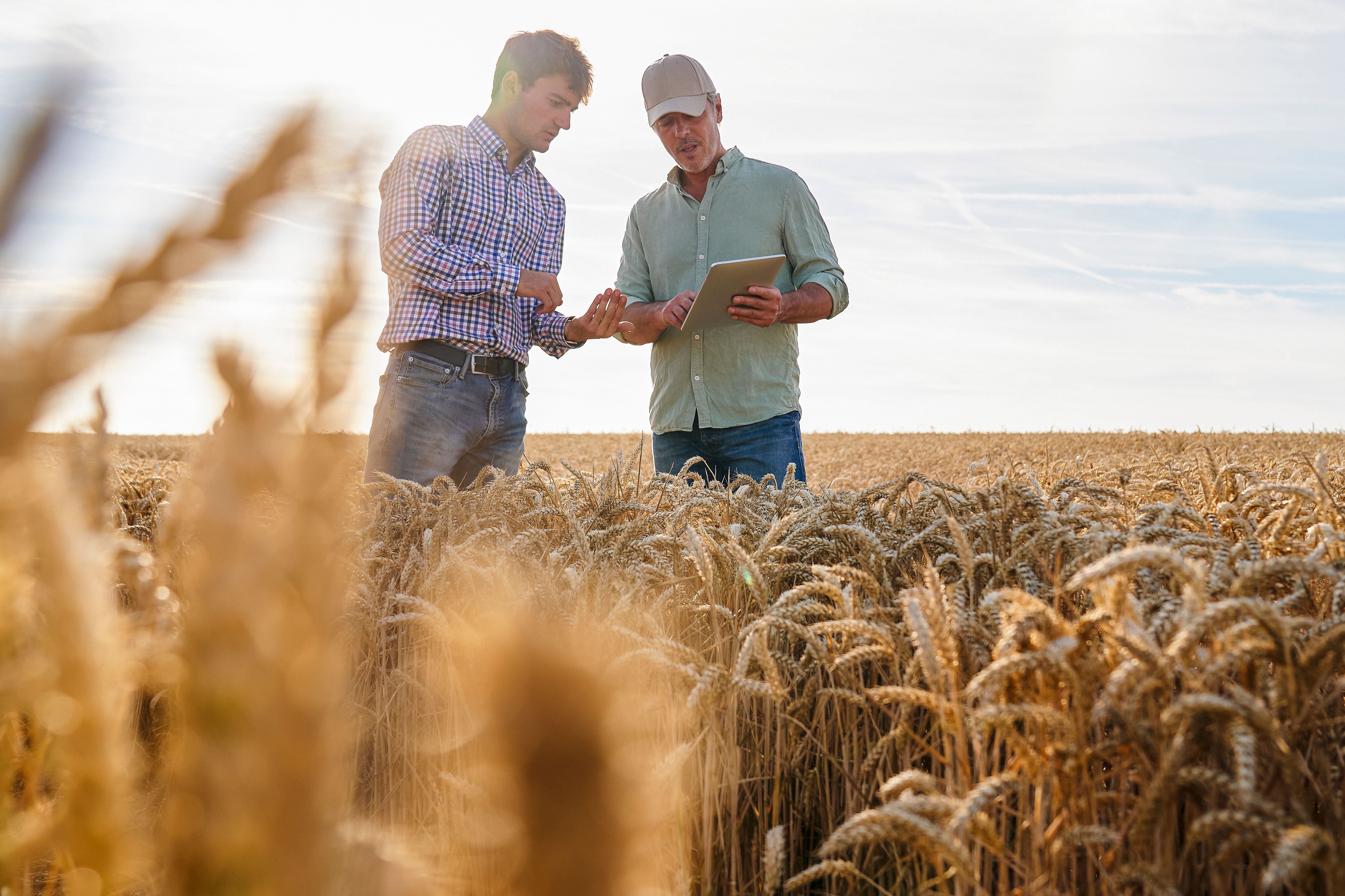 agricultural consultancy