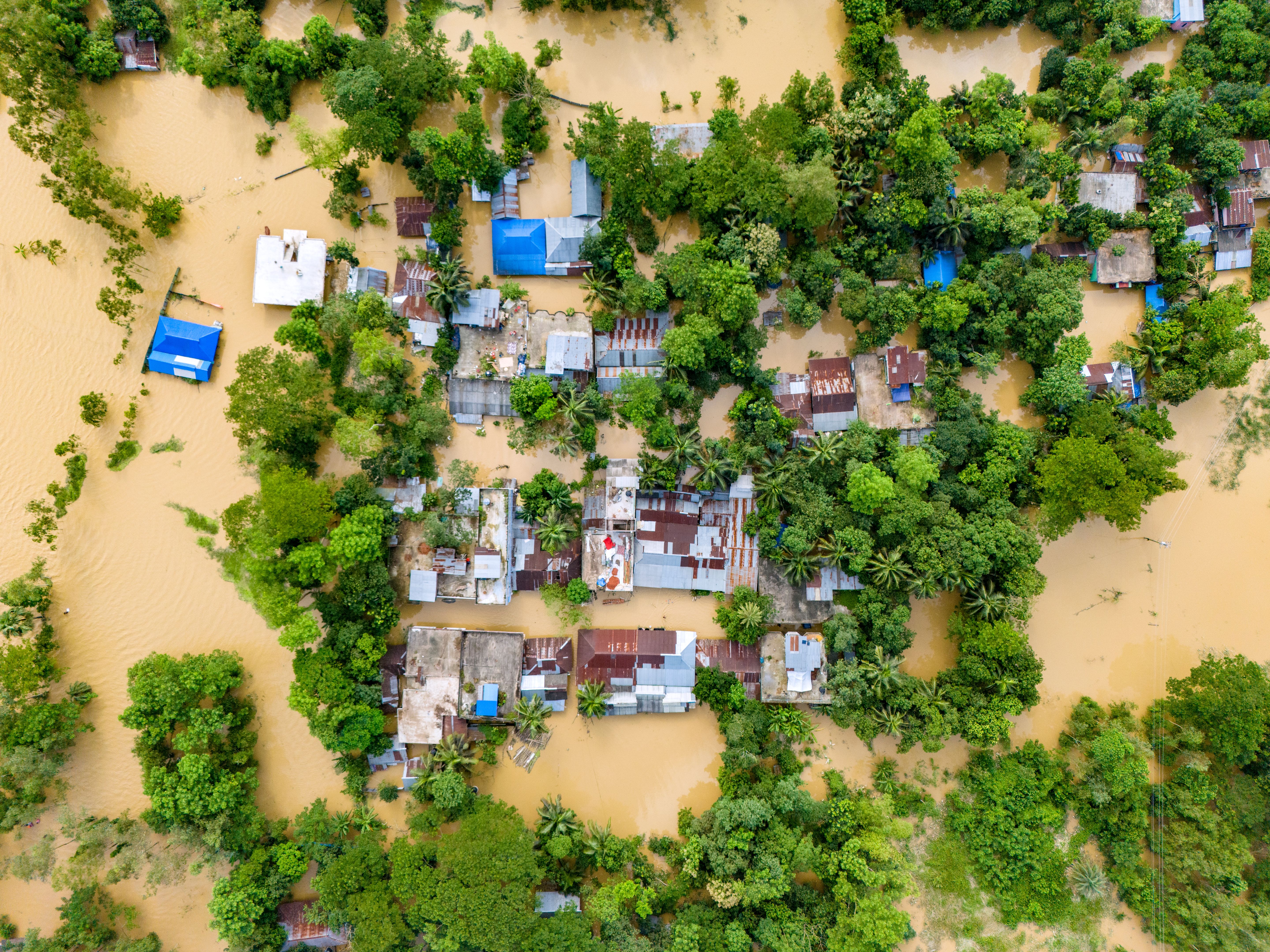 climate change impact