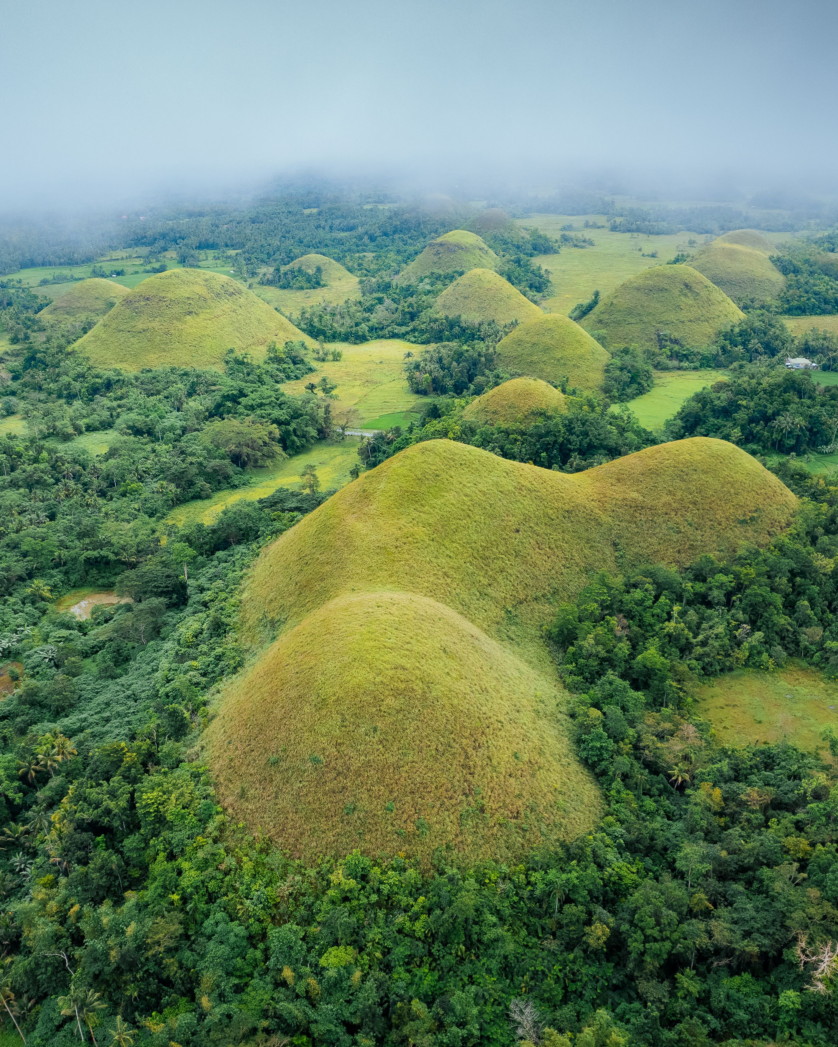 bohol chocolate hills
