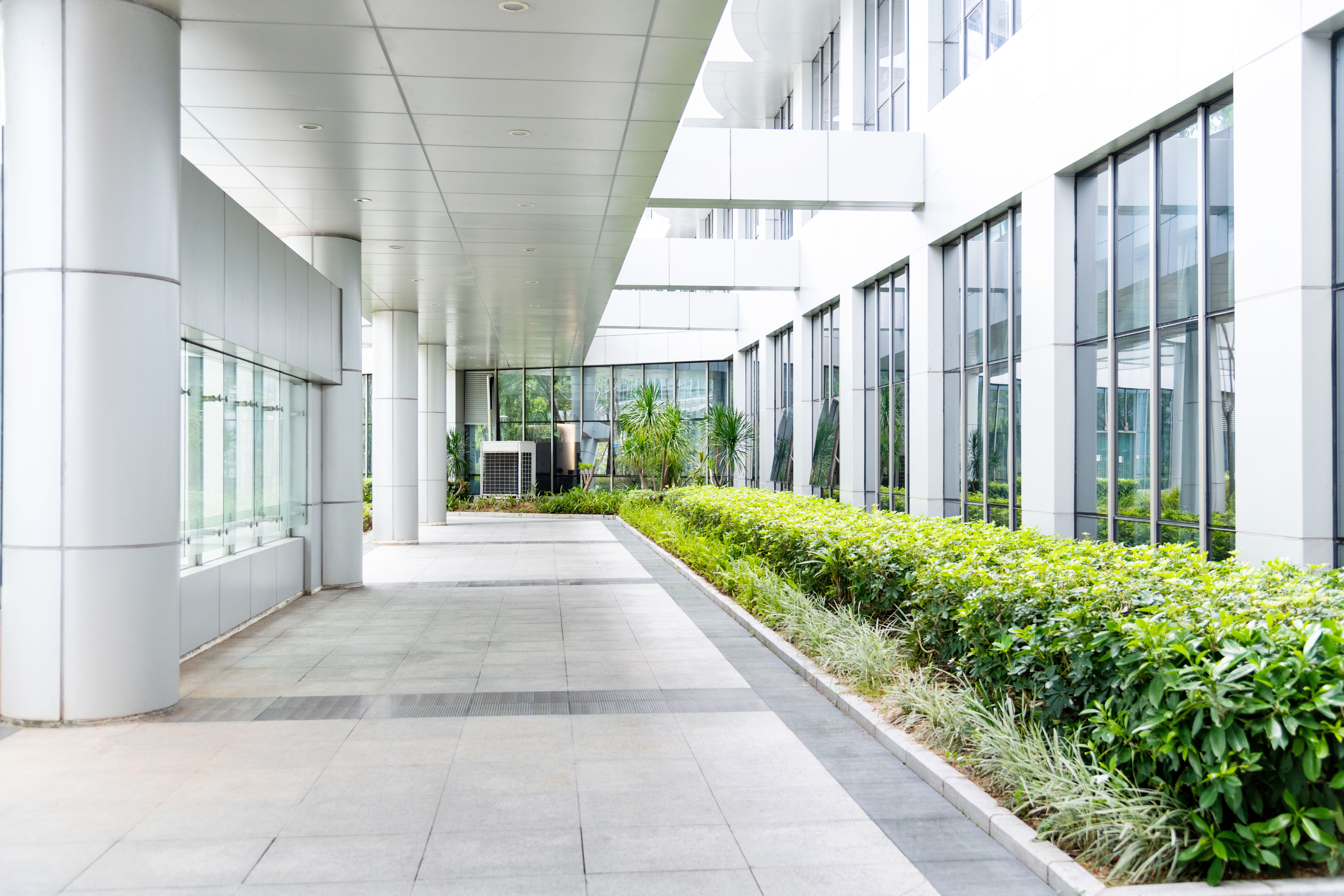 healthy building interior
