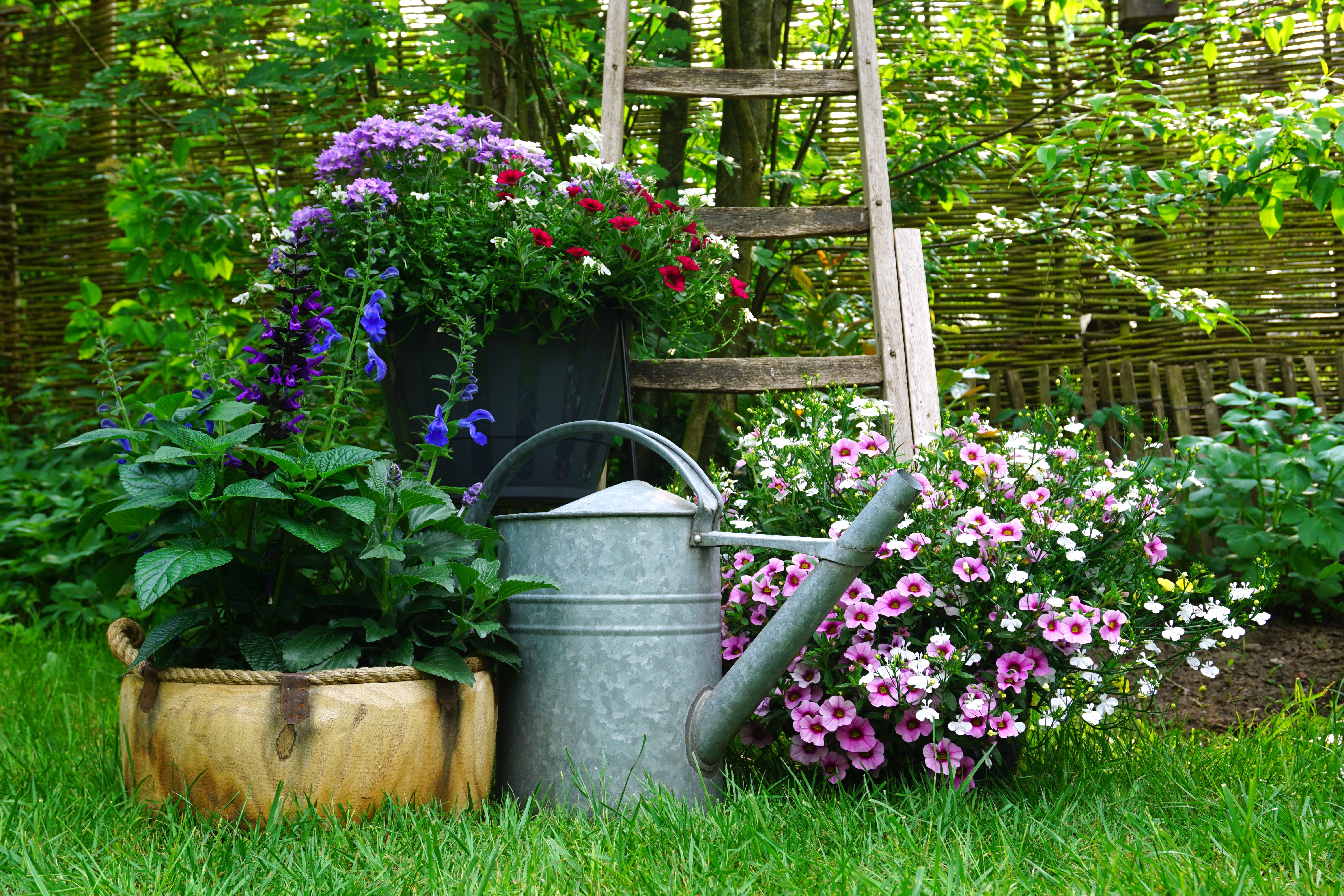 sustainable landscape design