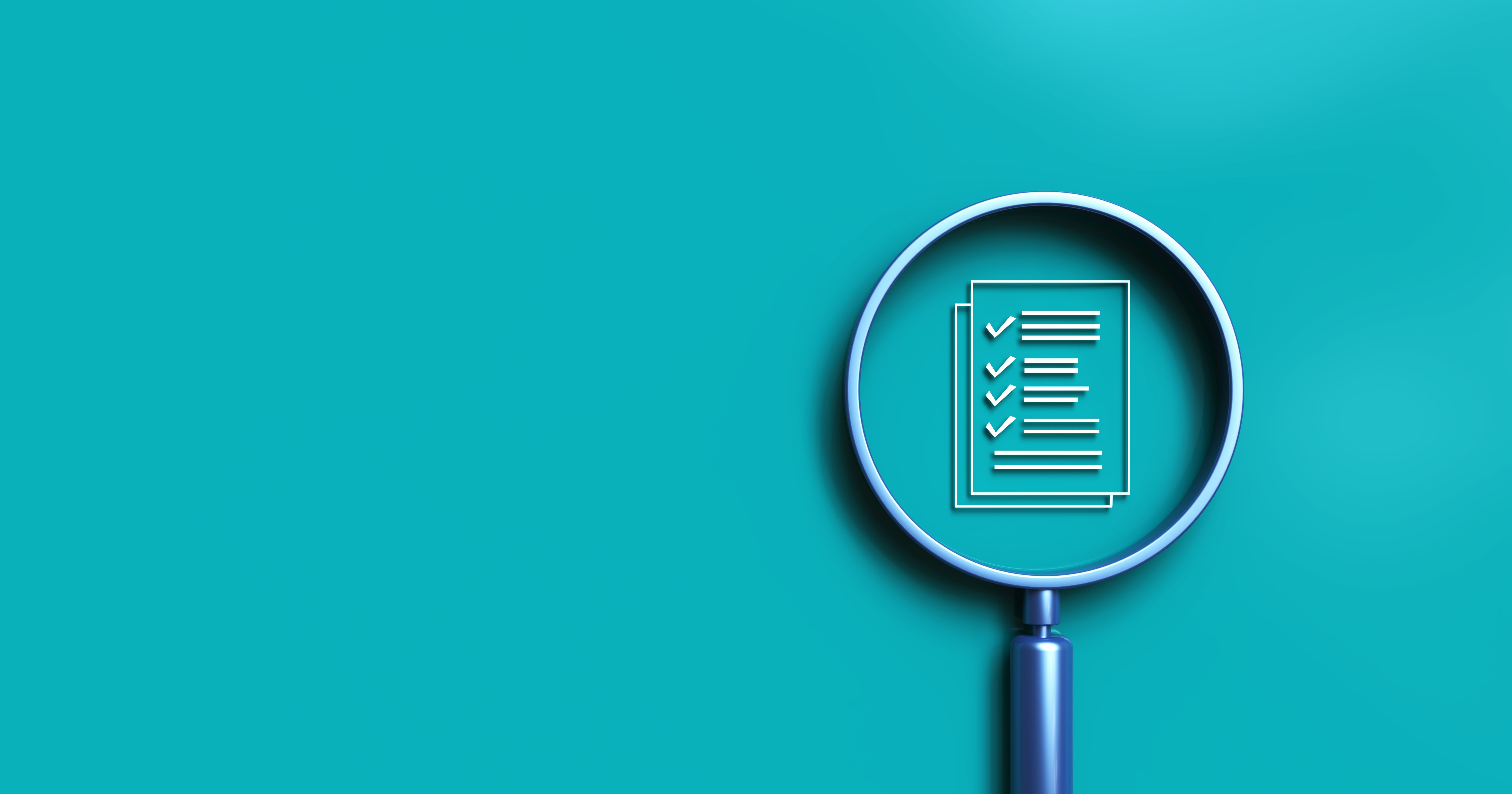 web audit