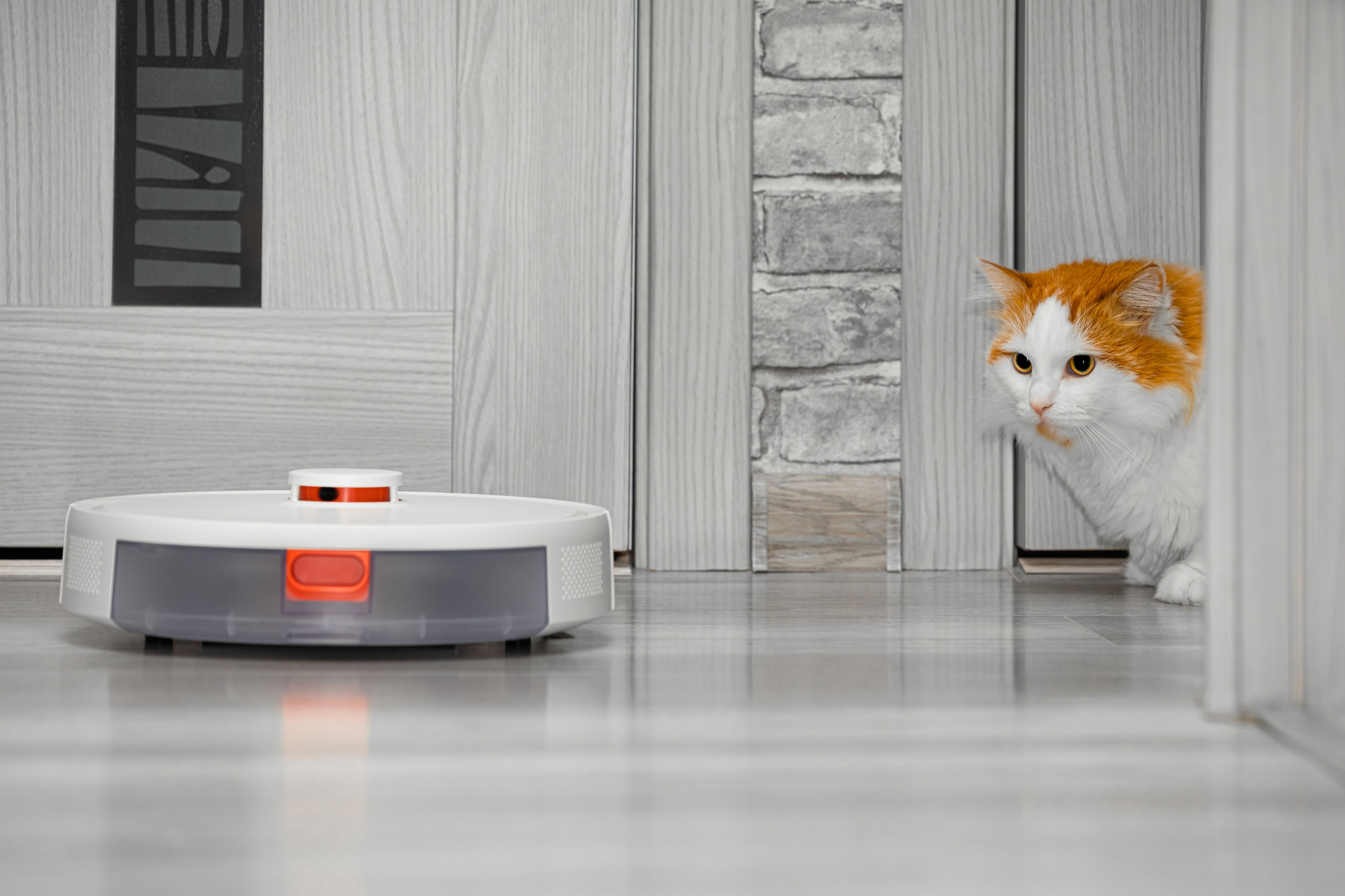 robotic vacuum cleaner