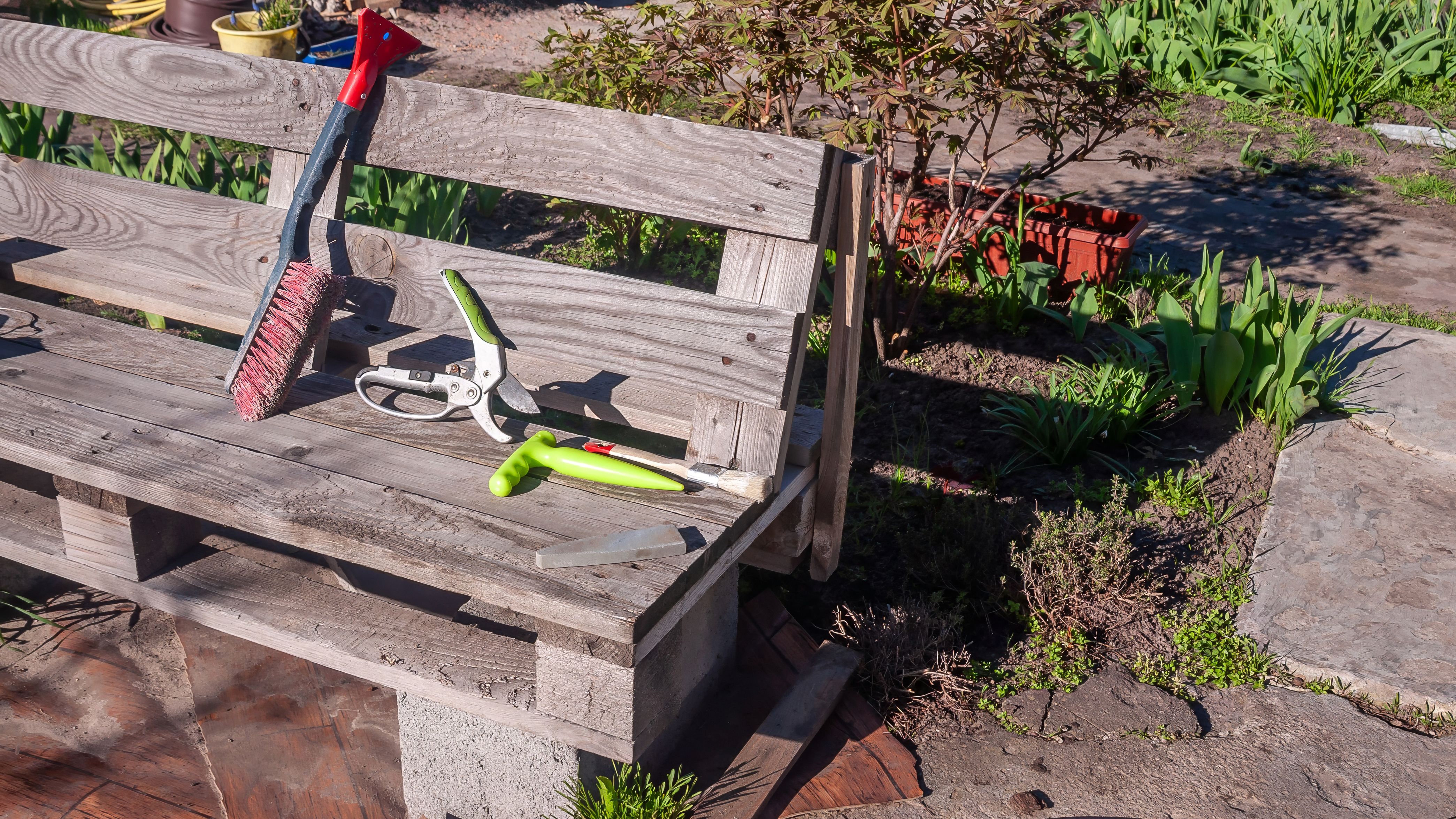 home garden transformation