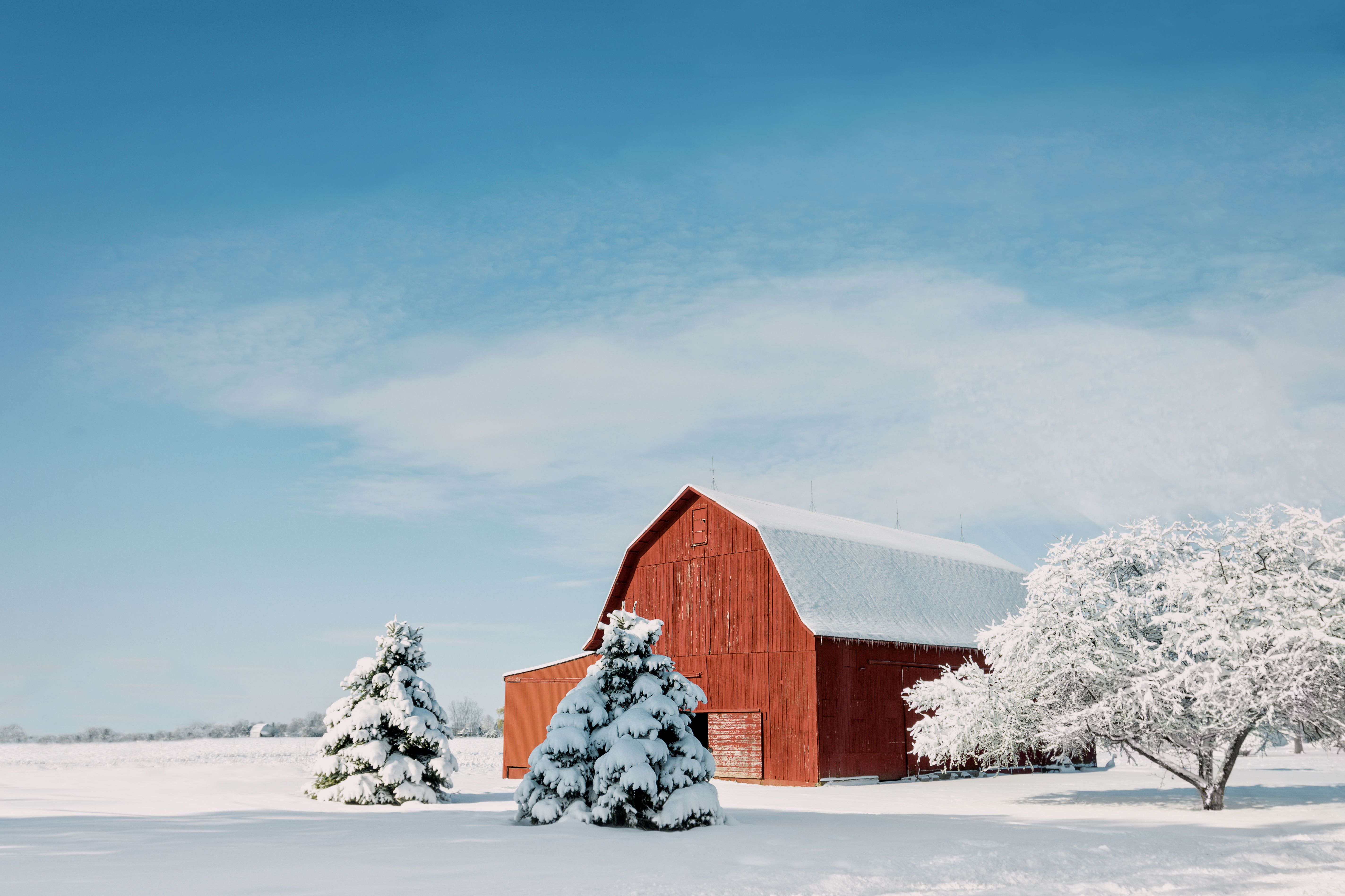 winter barn supplies