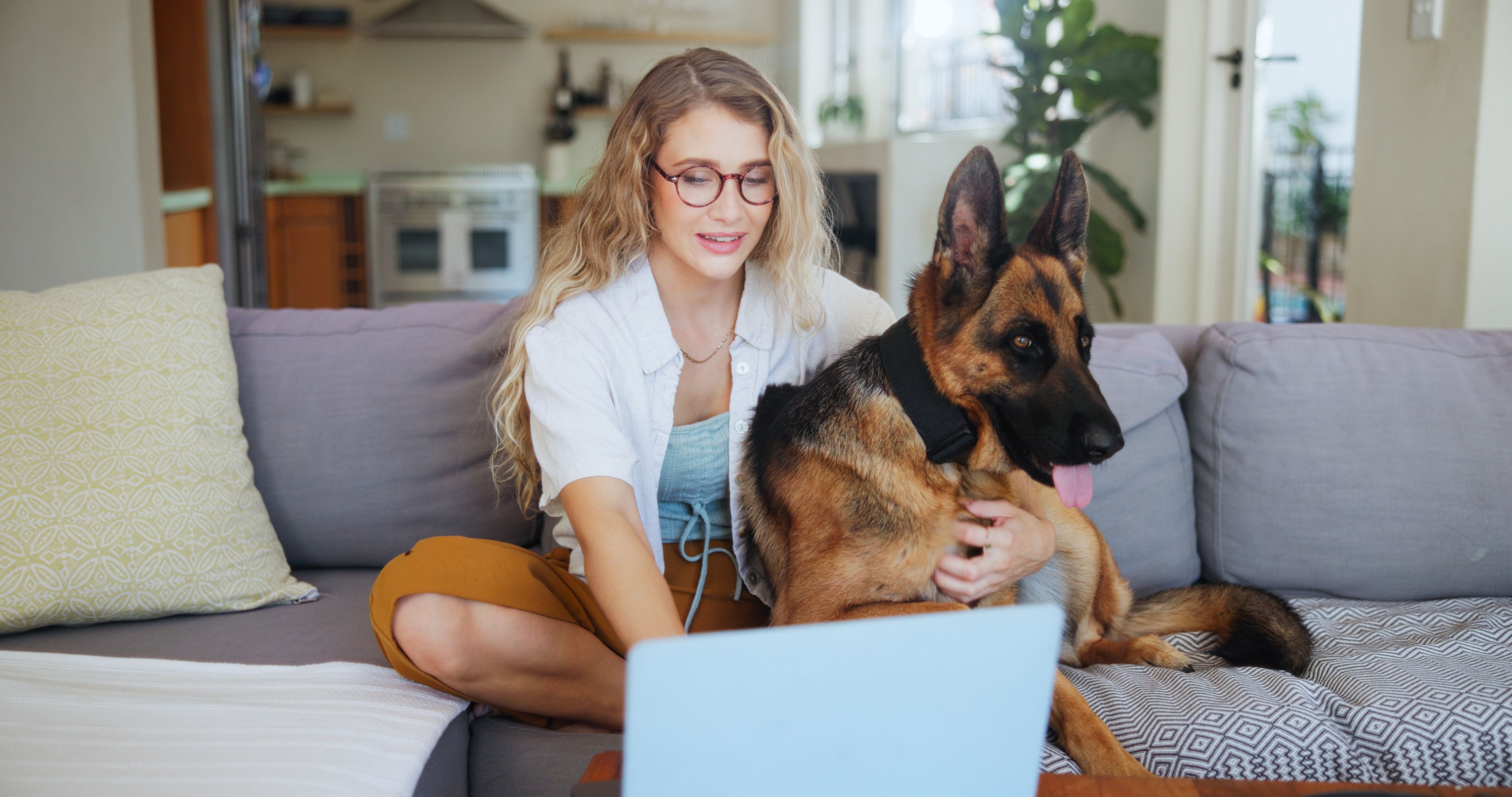 pet owner references