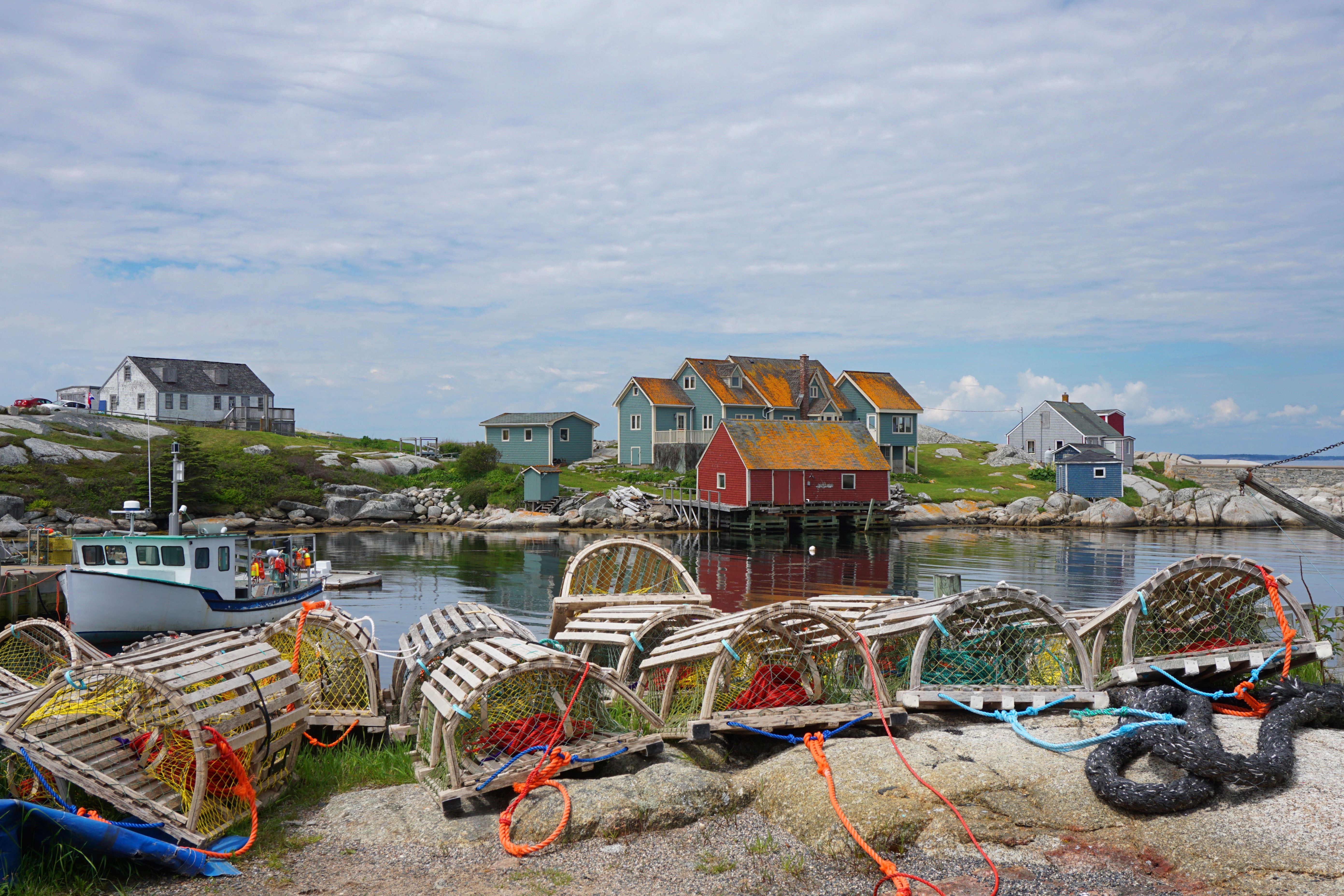 nova scotia lobster