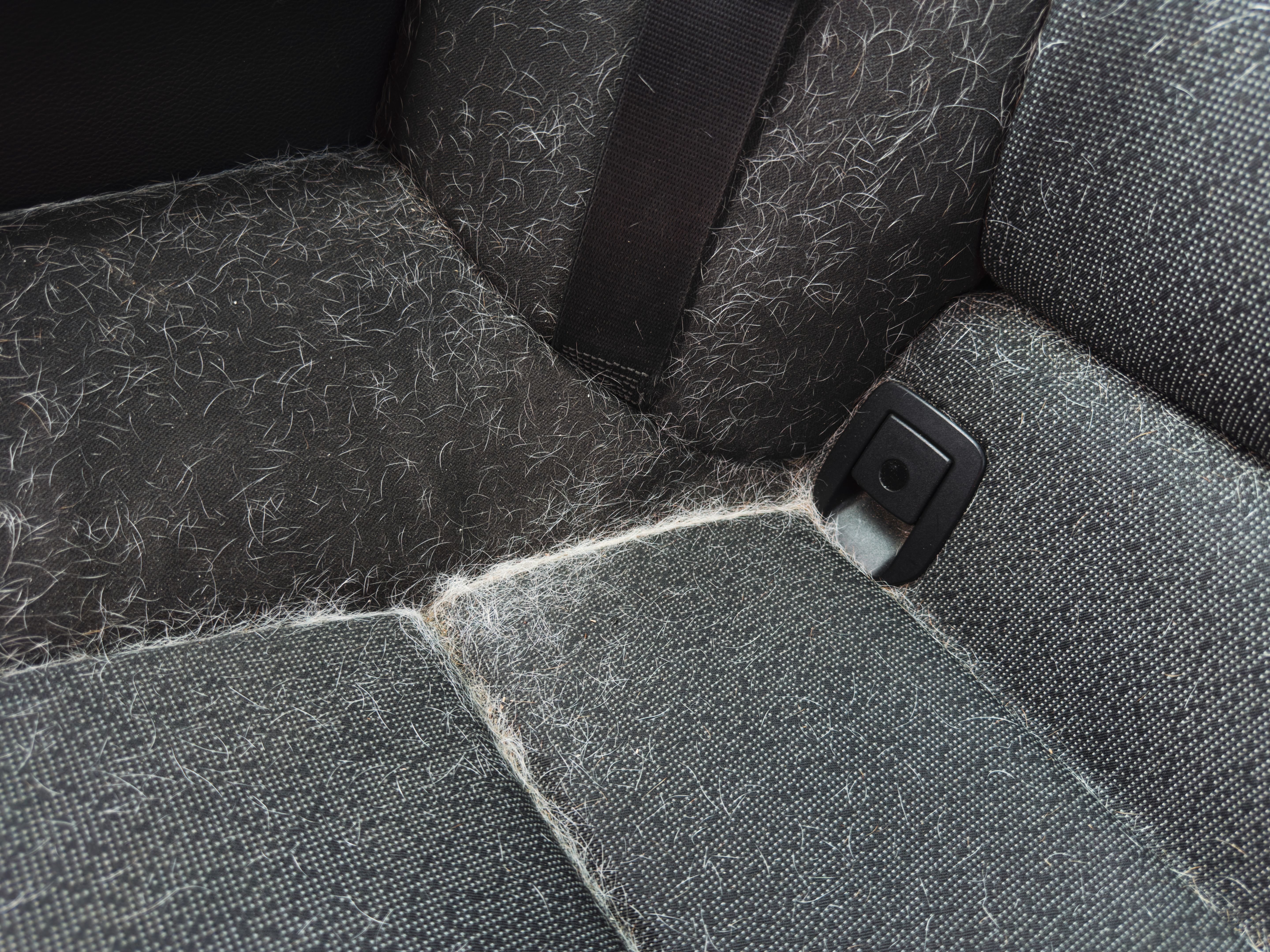 car interior detailing