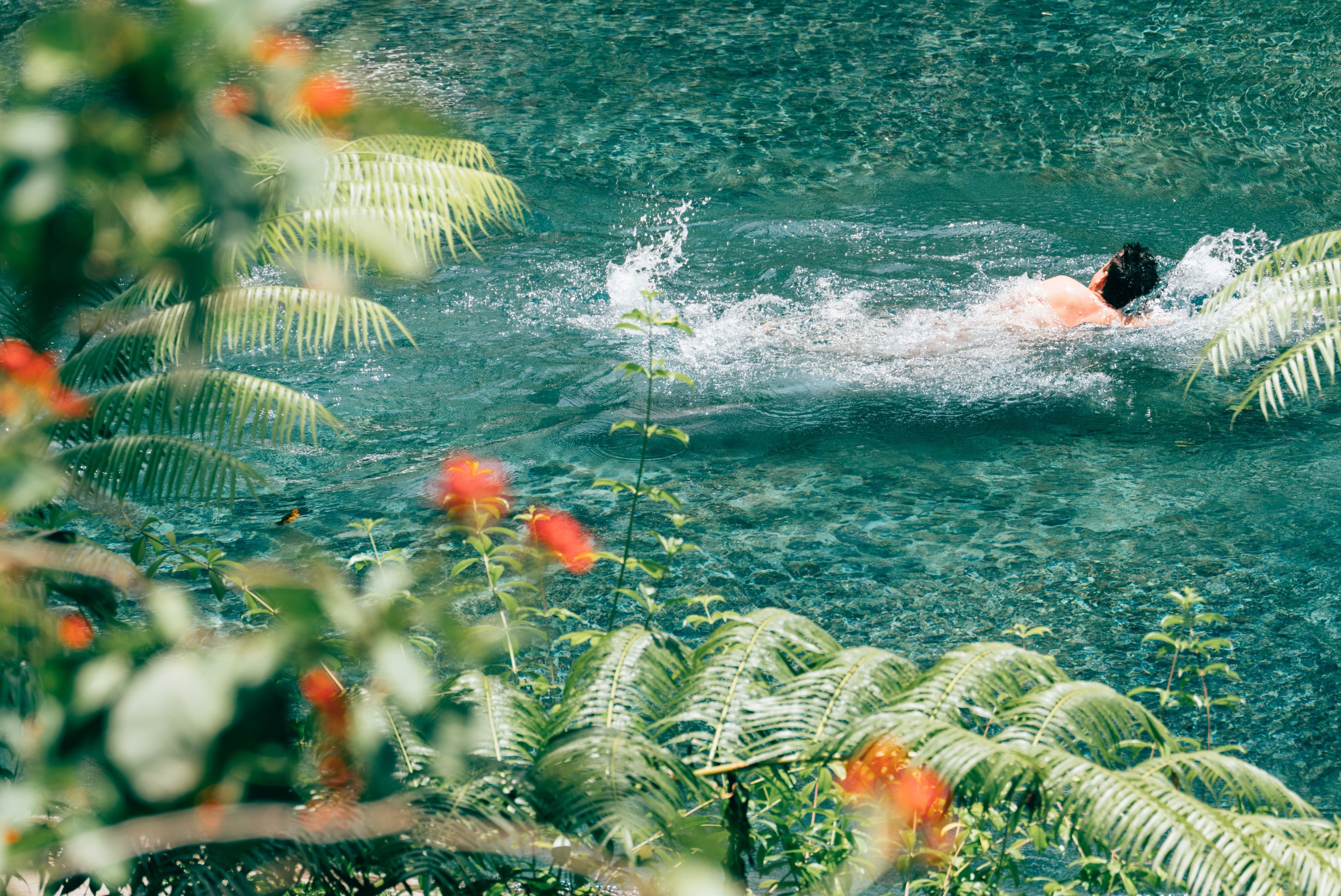 sustainable pool