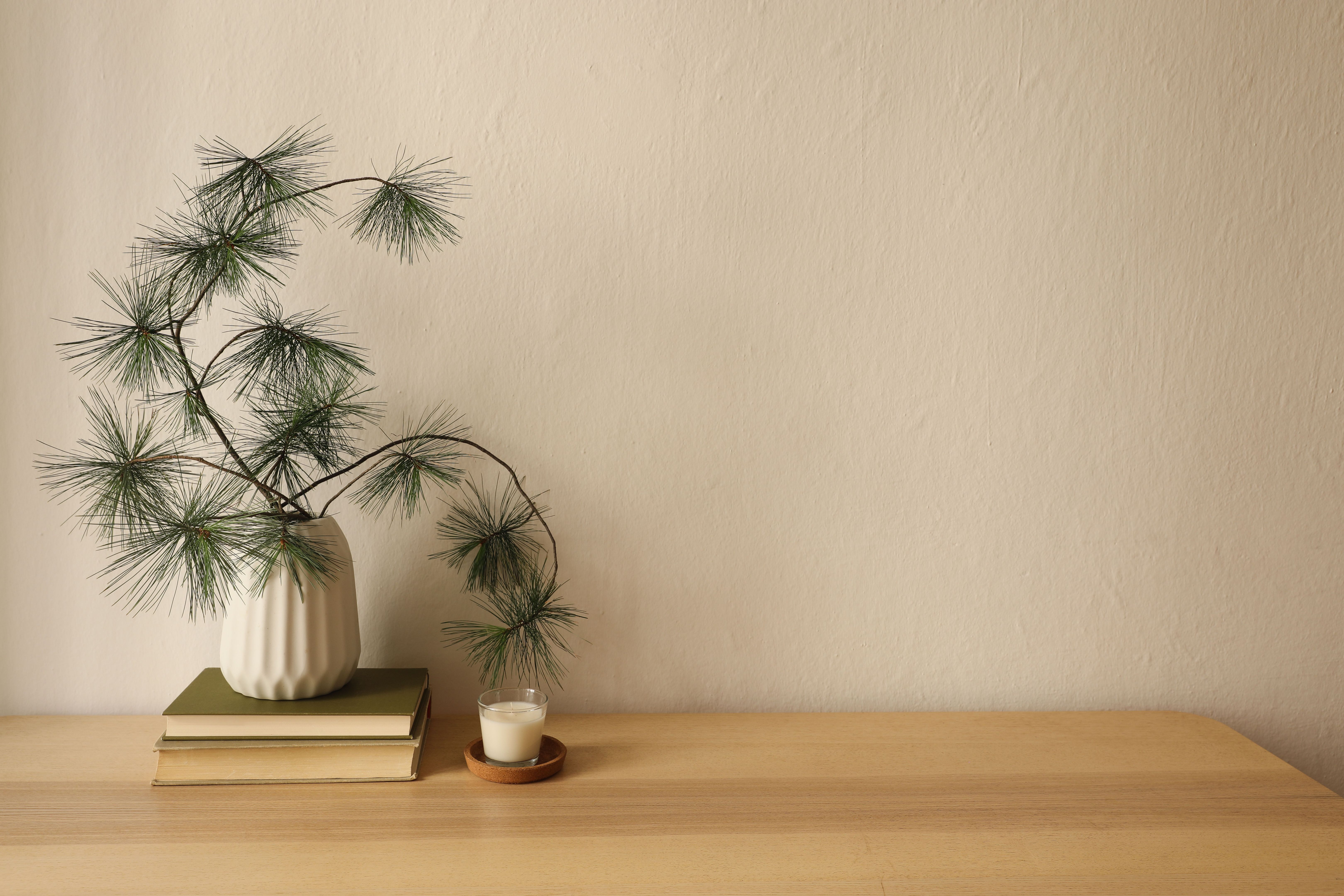 natural elements in home