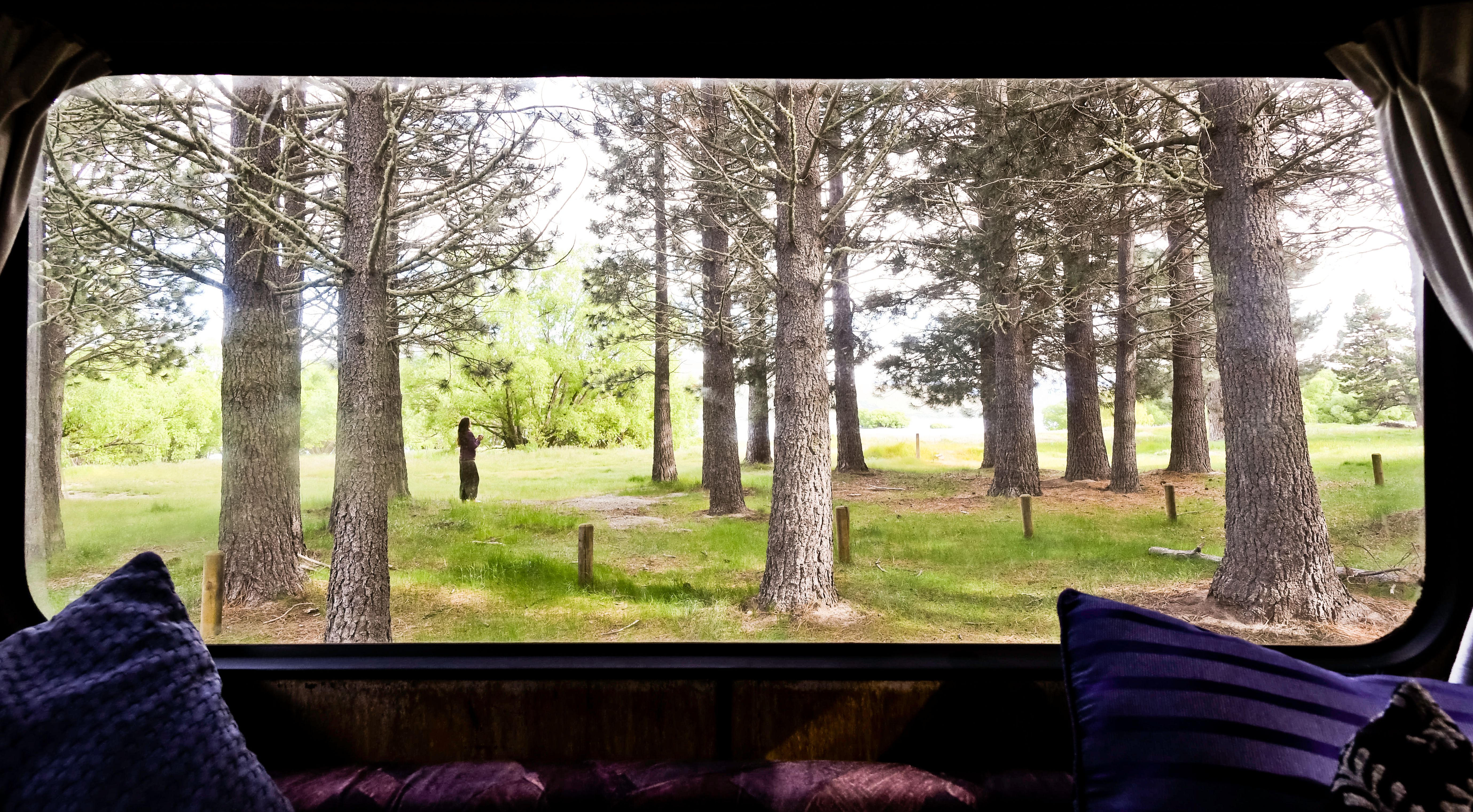 Woman traveler enjoys early morning coffee in forest Woman traveler enjoys early morning coffee in forest