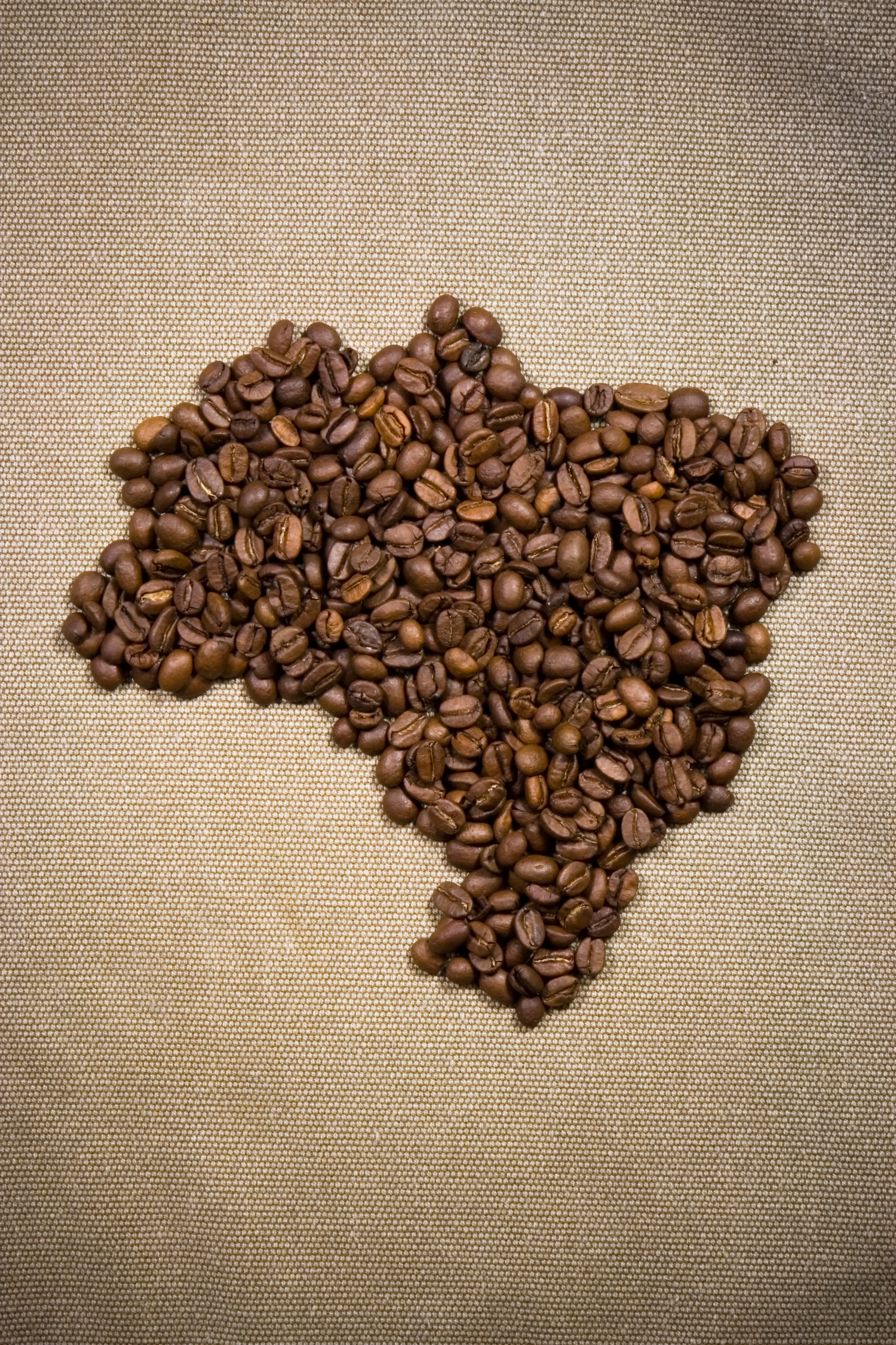 Coffee Beans Brazil