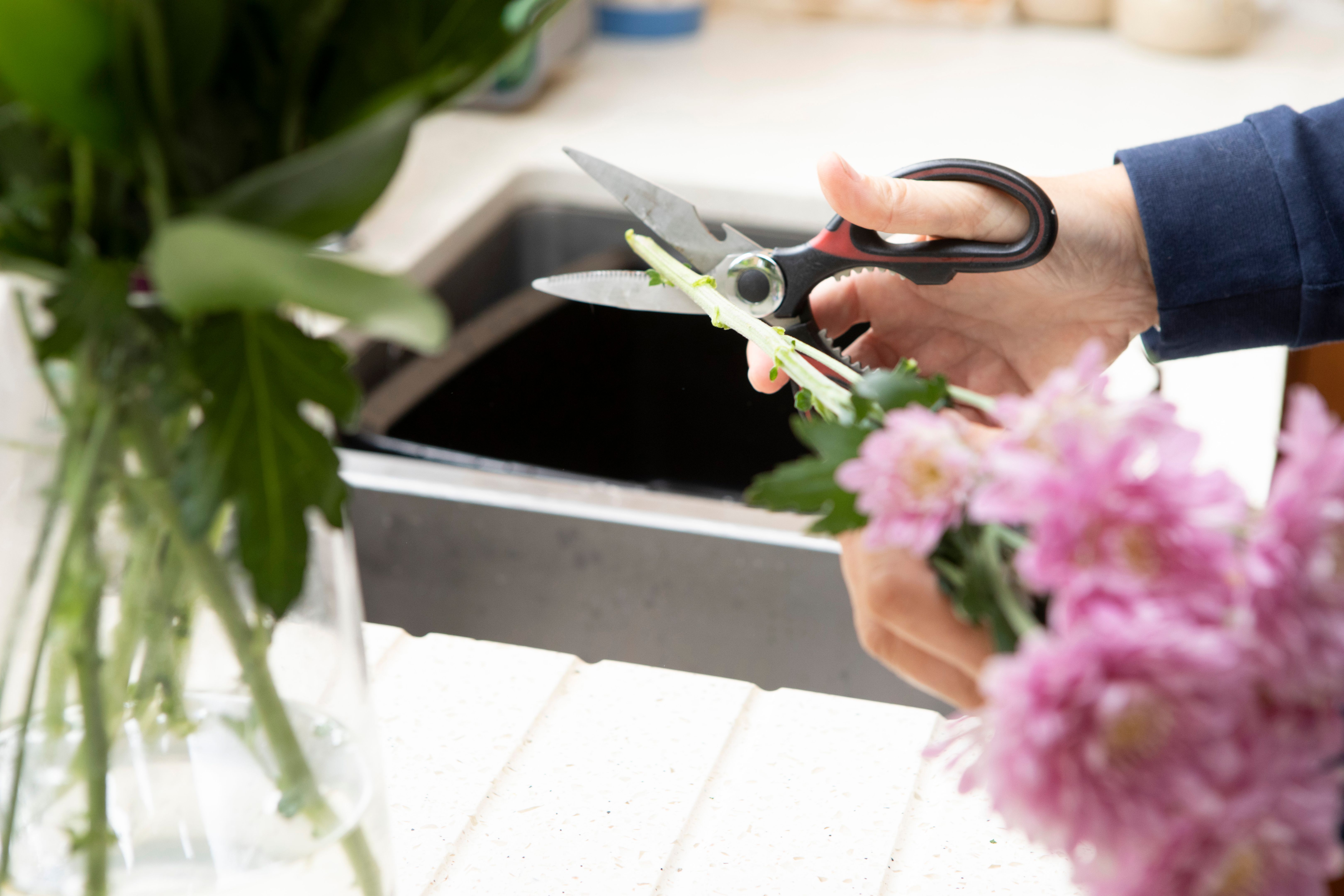 flower care tips