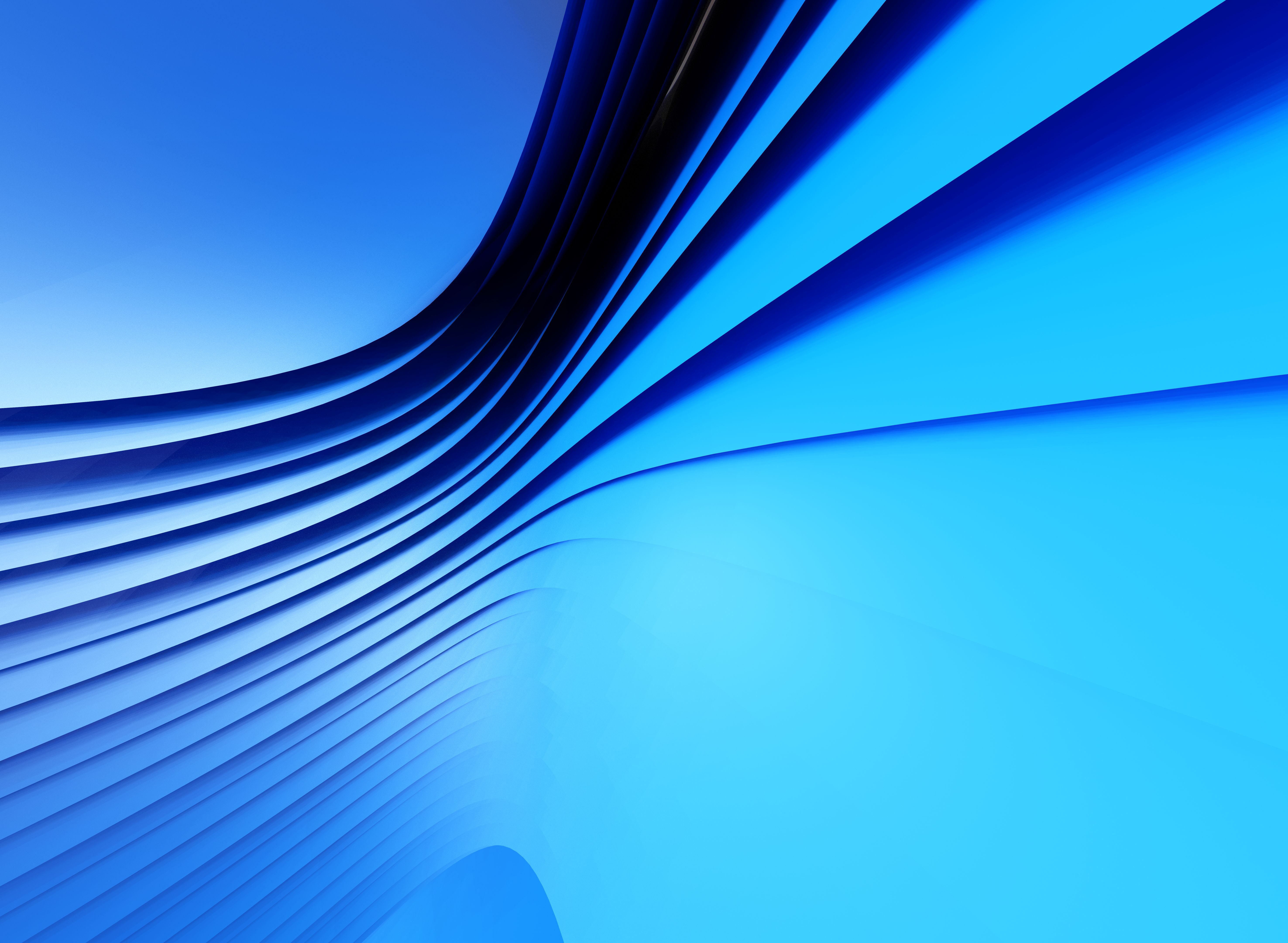 digital marketing basics