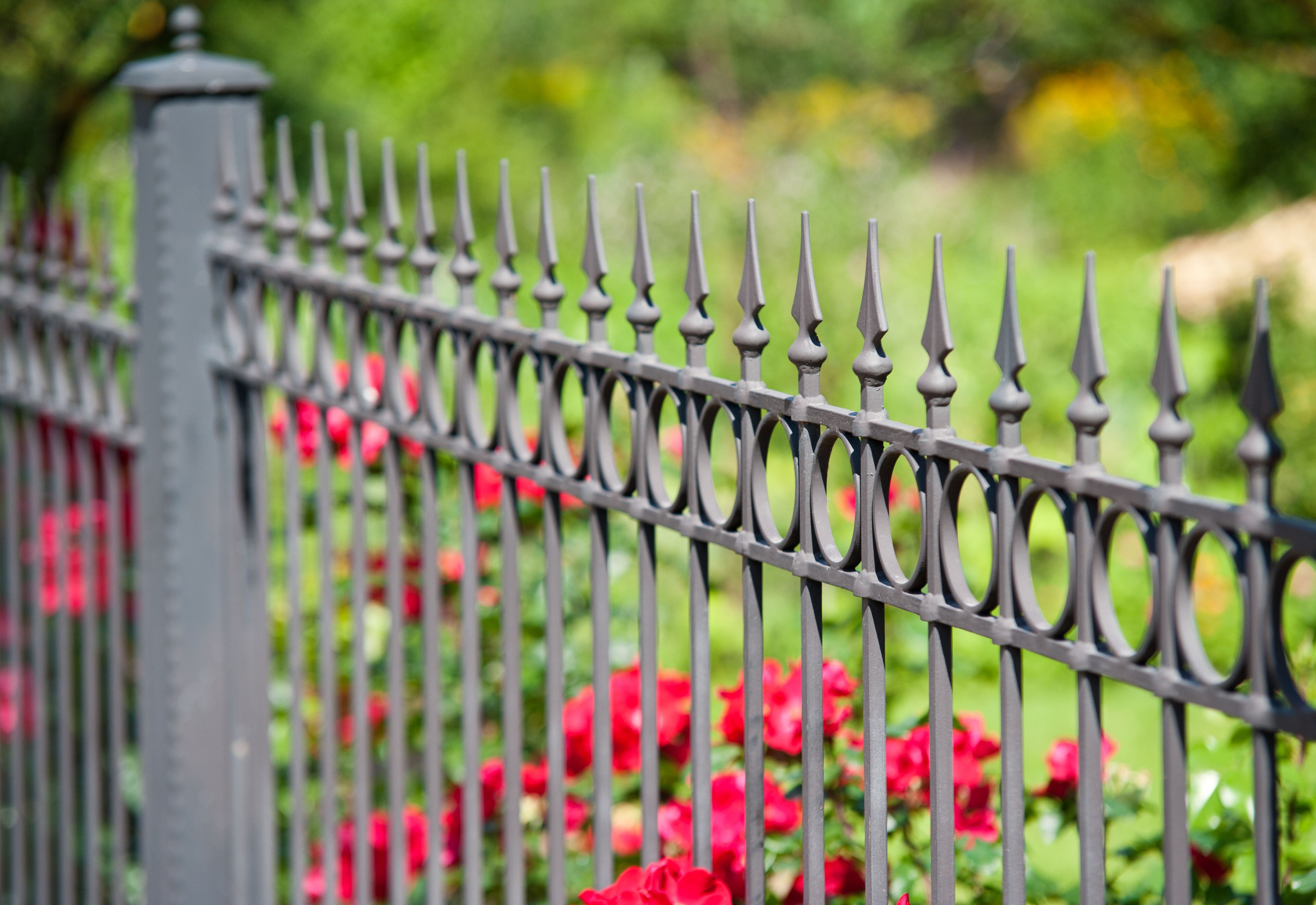 ornamental iron fence