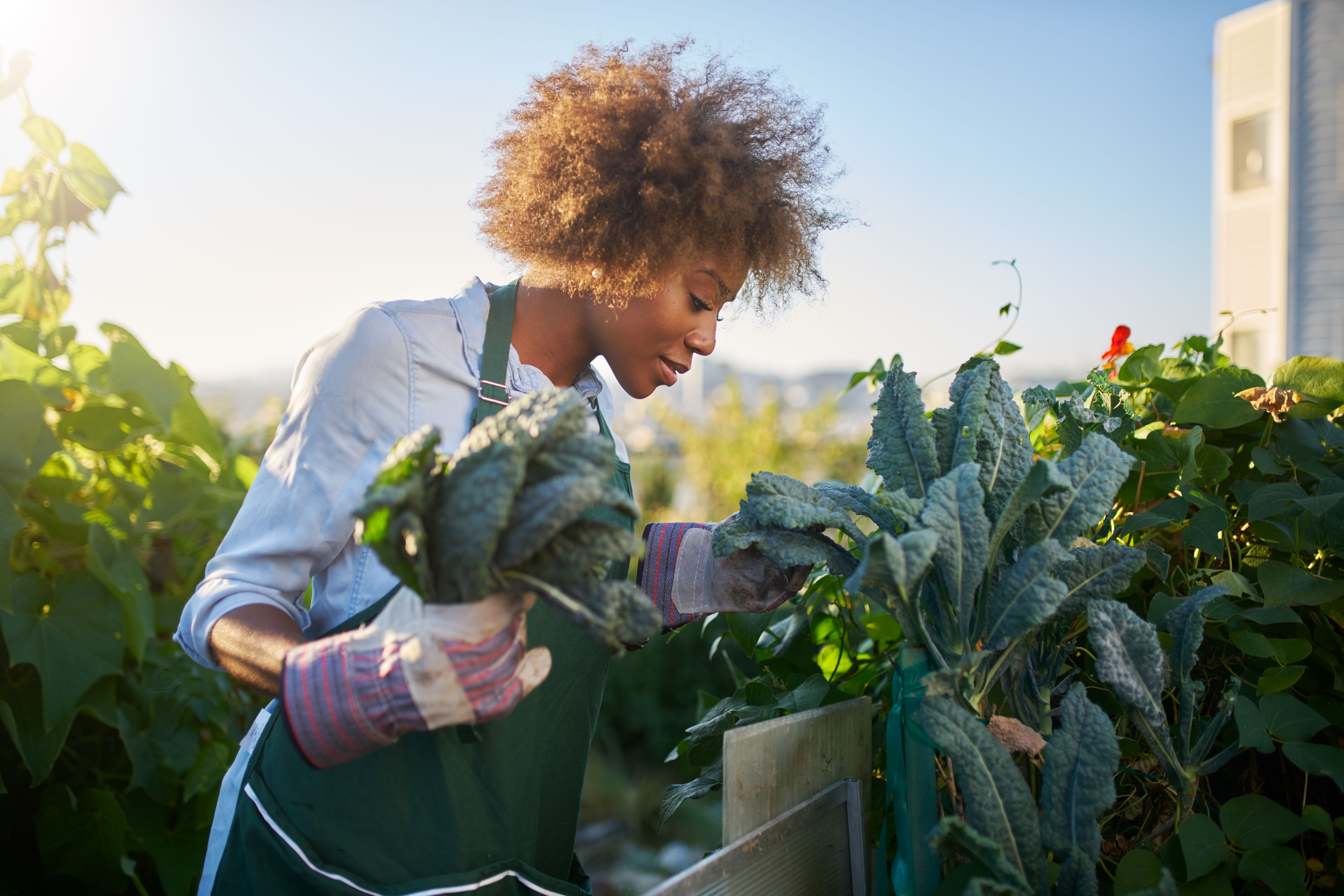 sustainability San Francisco