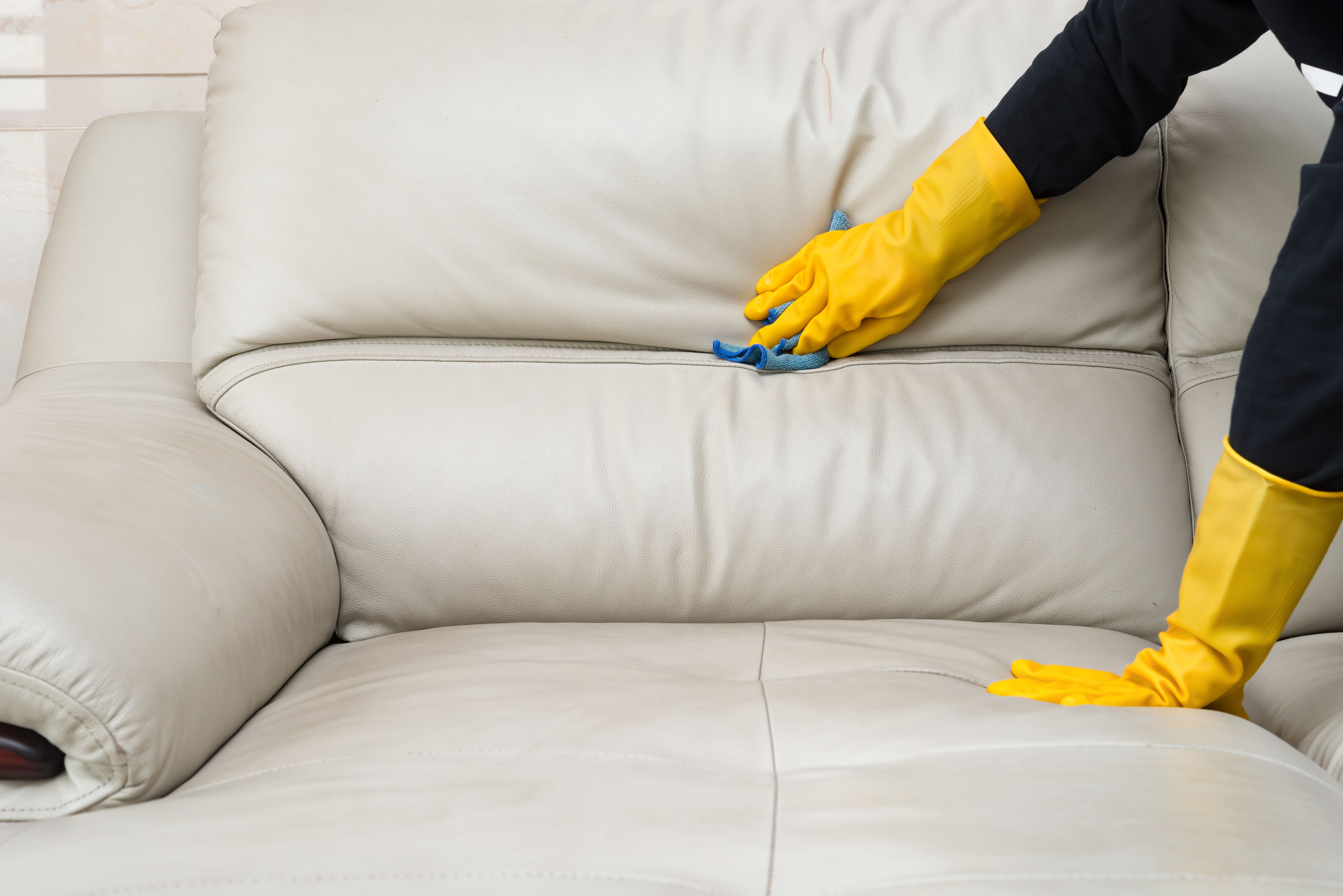 sofa cleaning tips