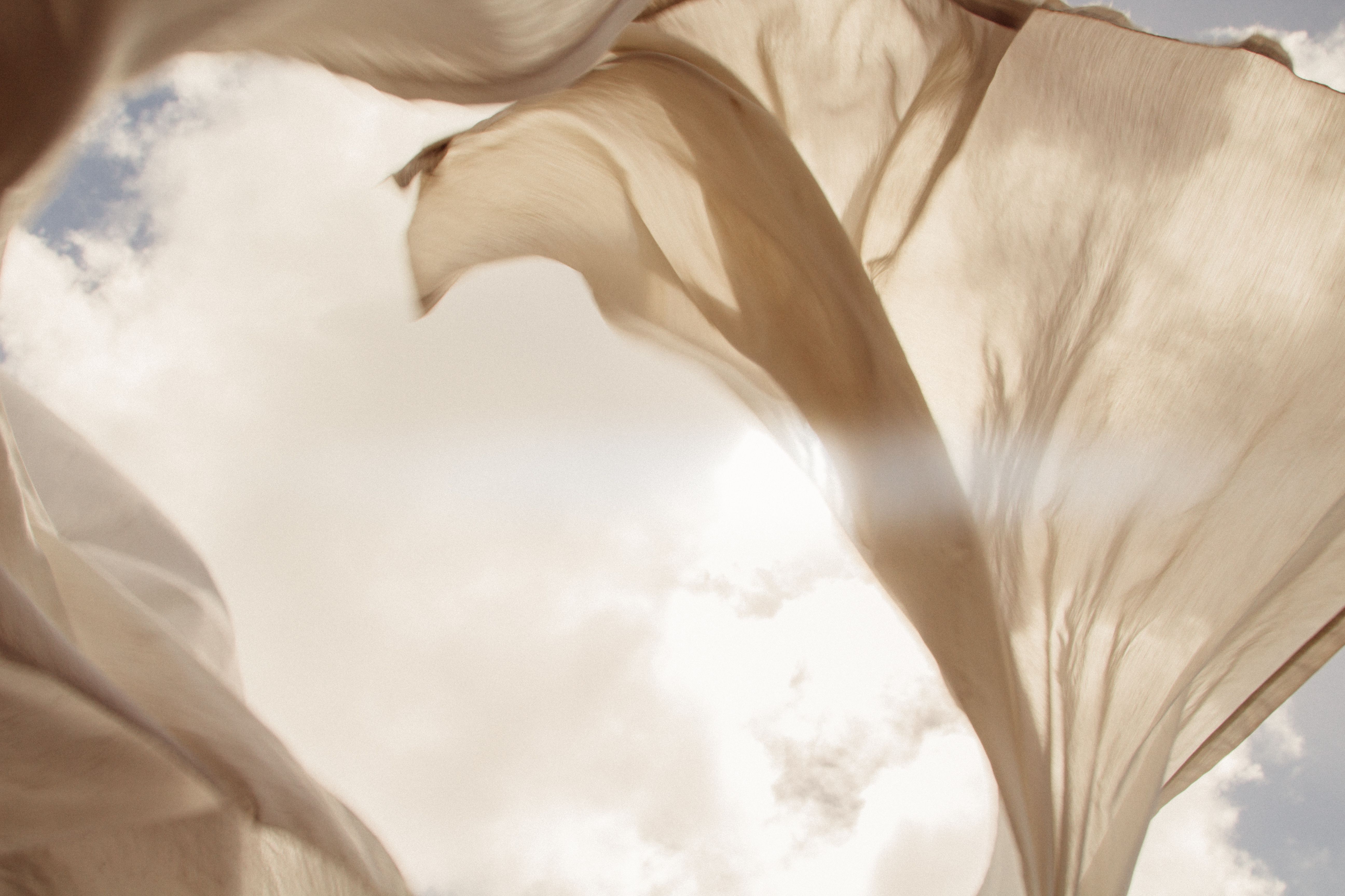 natural aesthetics photography